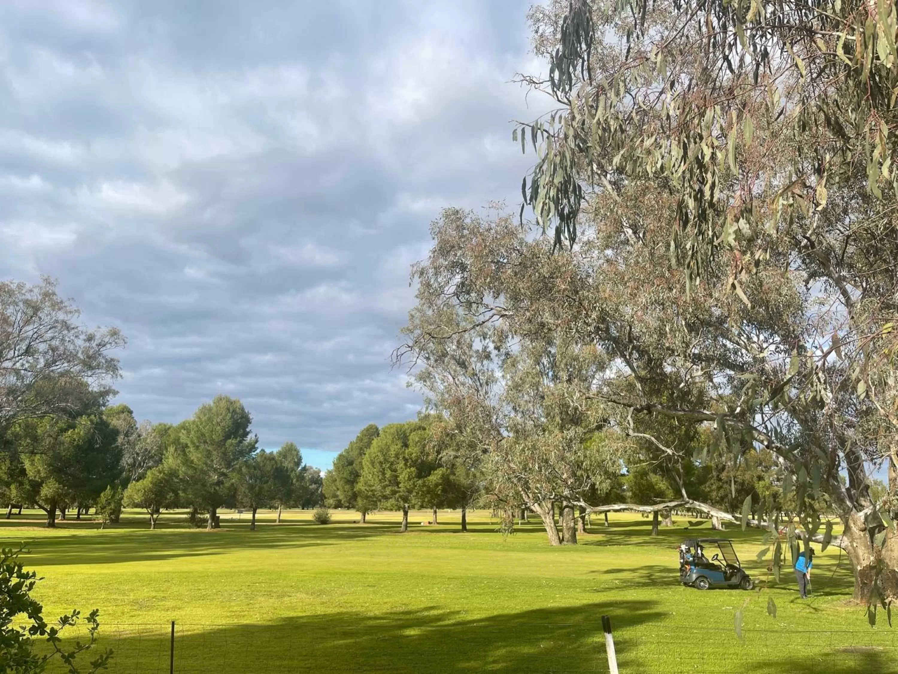 Golfcourse in Town & Country Motor Inn