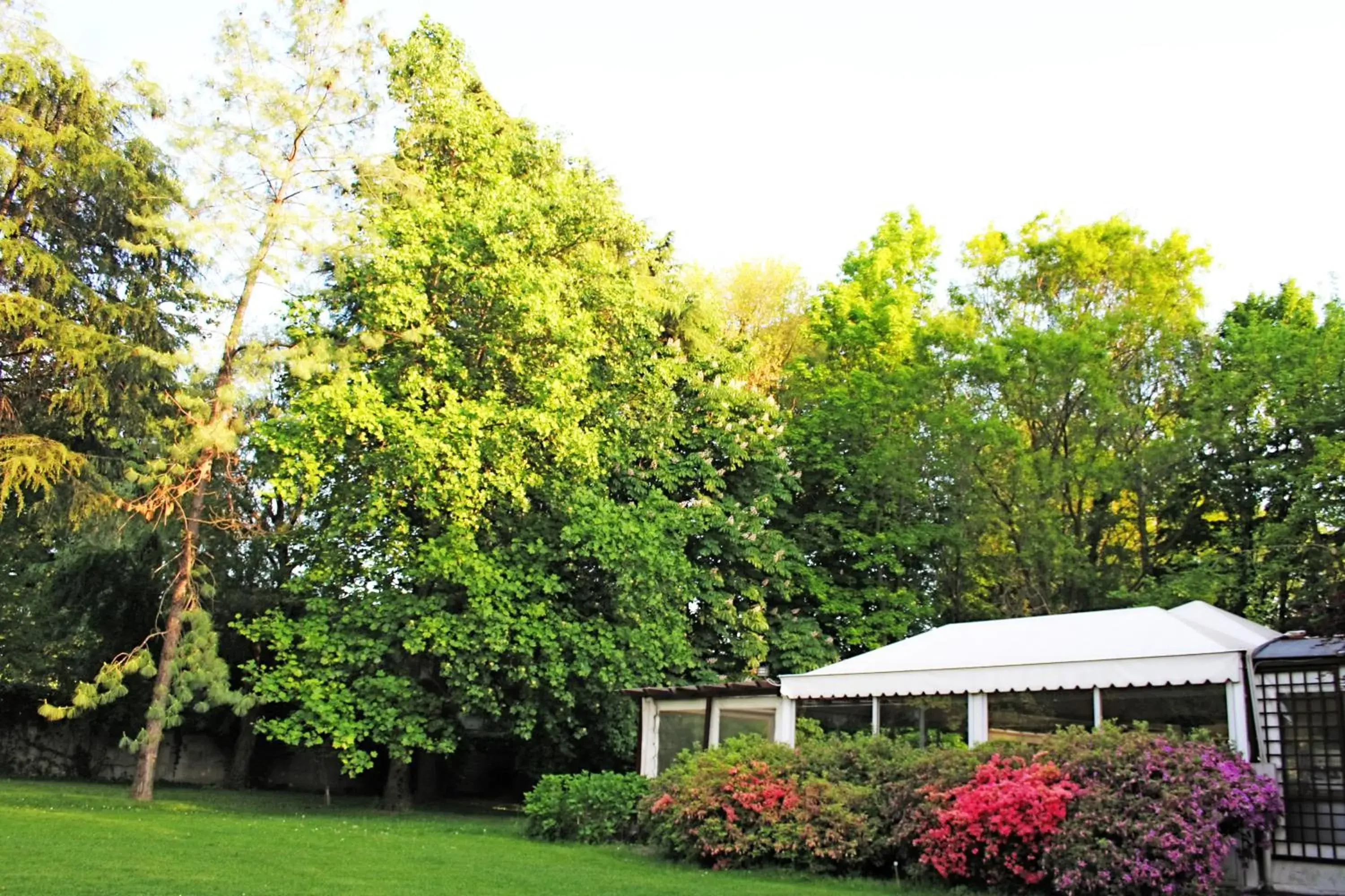 Garden in Park Hotel Villa Giustinian