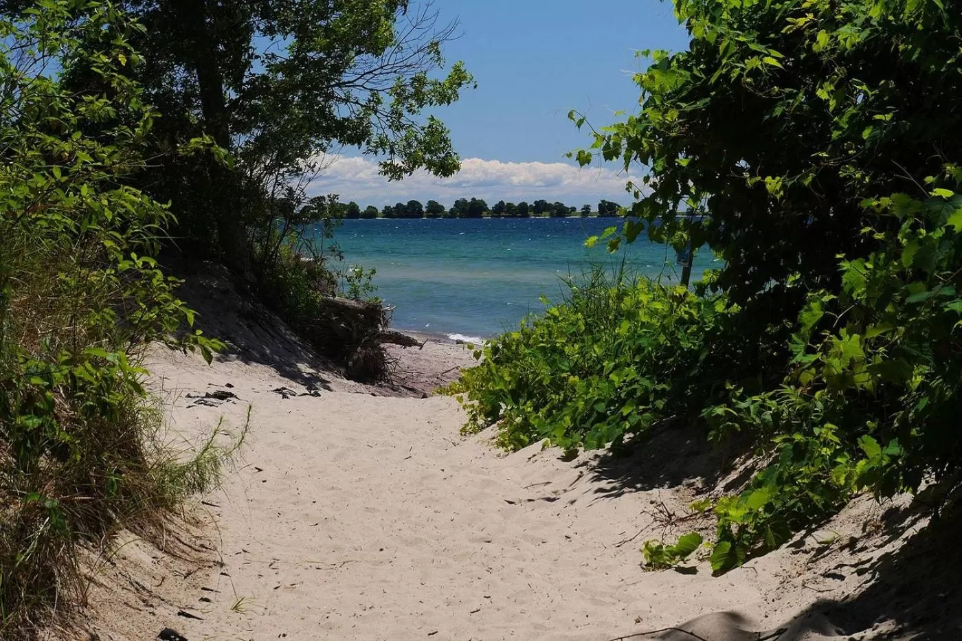 Beach in Hotel Wolfe Island