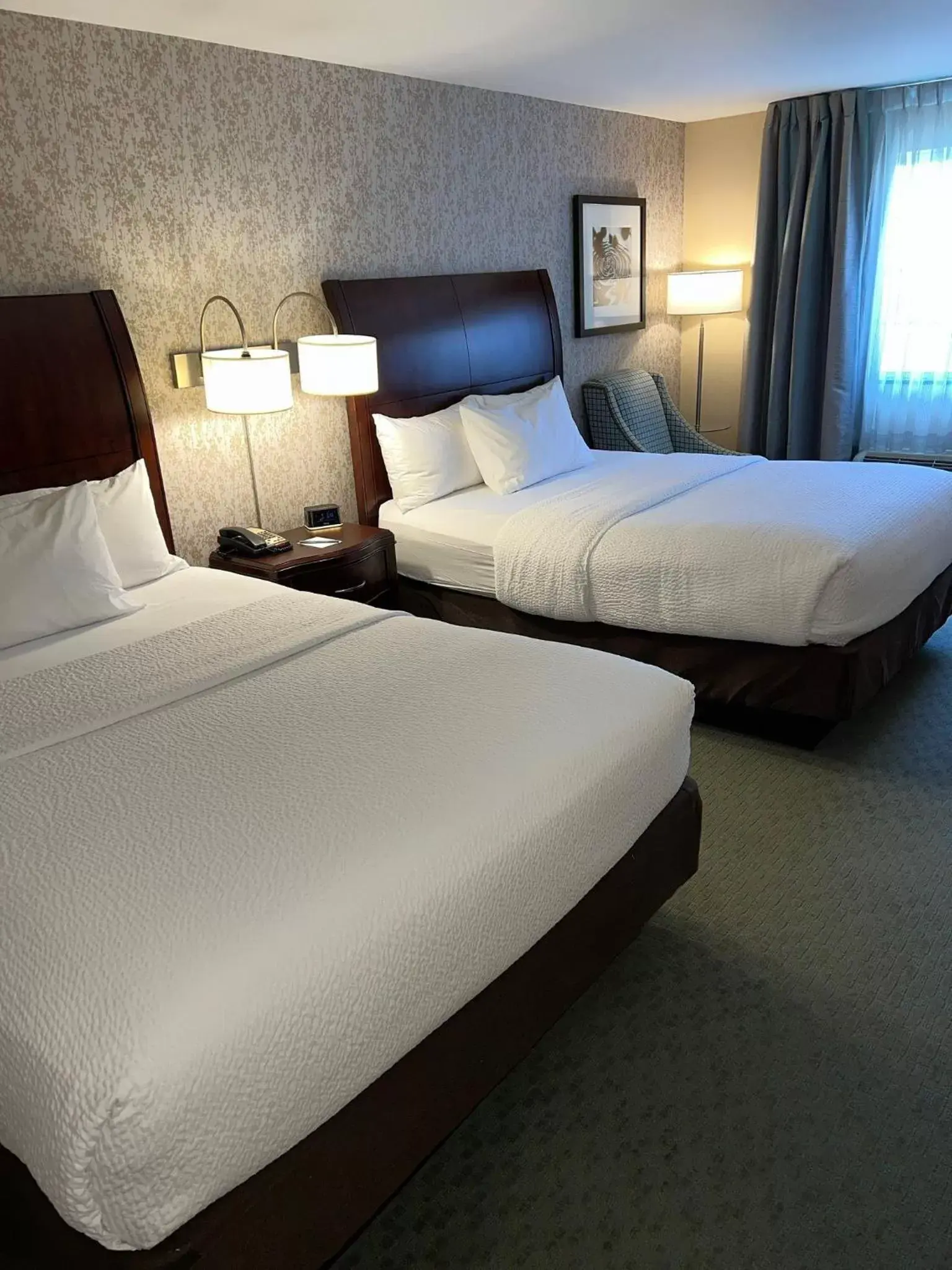 Bed in Fairfield Inn & Suites by Marriott Great Barrington Lenox/Berkshires