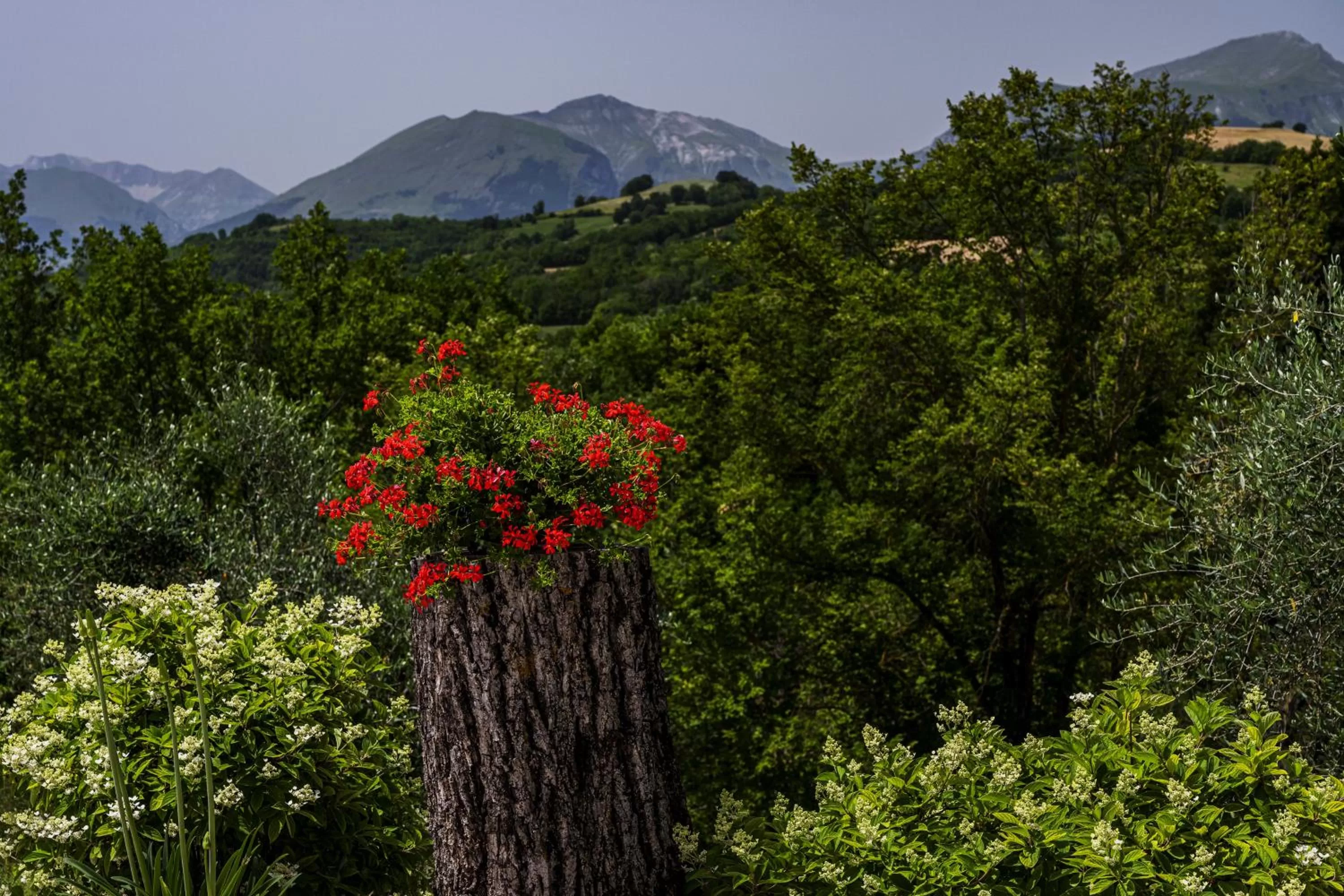 Mountain view in Casa Friano