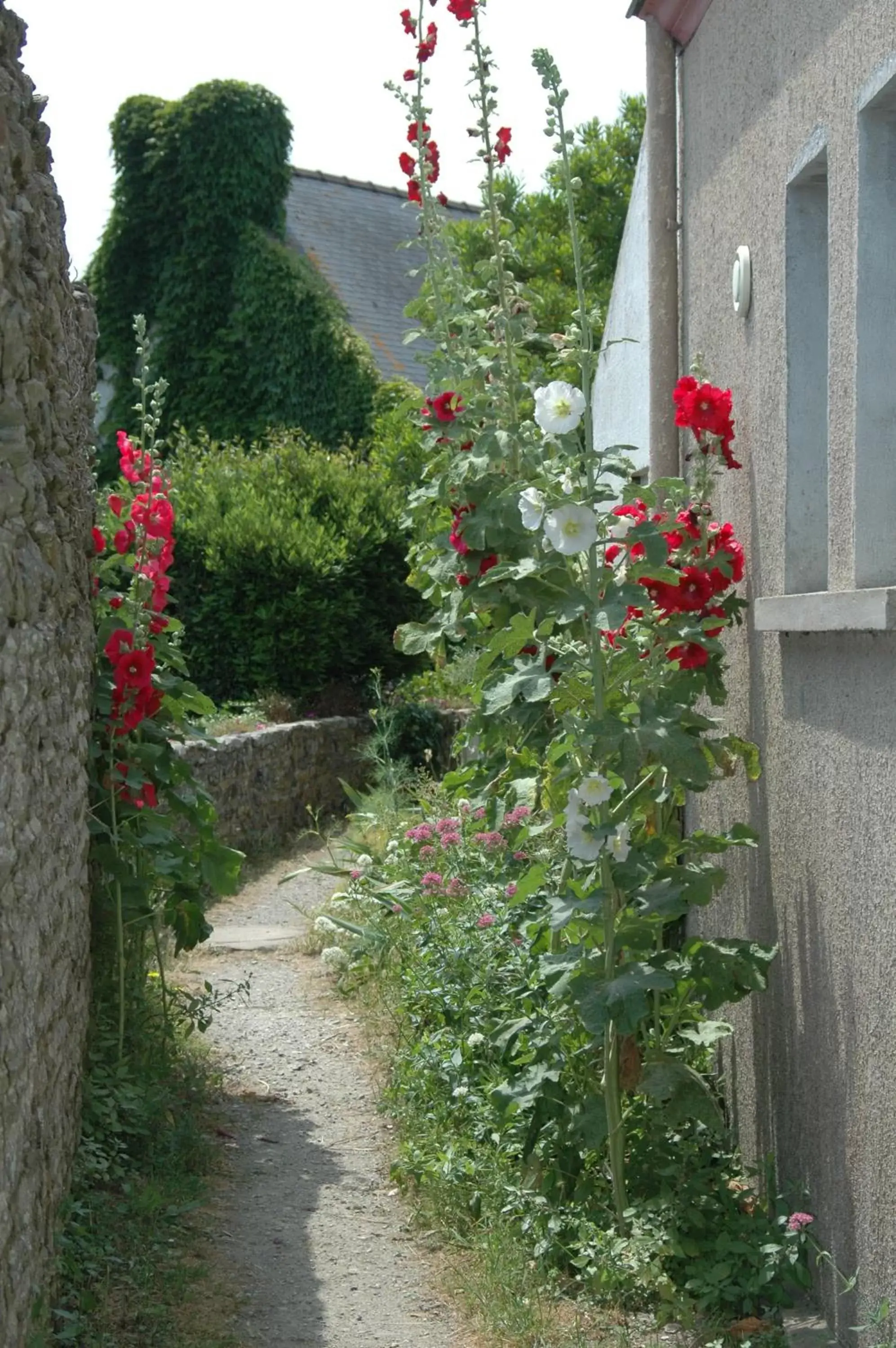 Street view in La Criste Marine