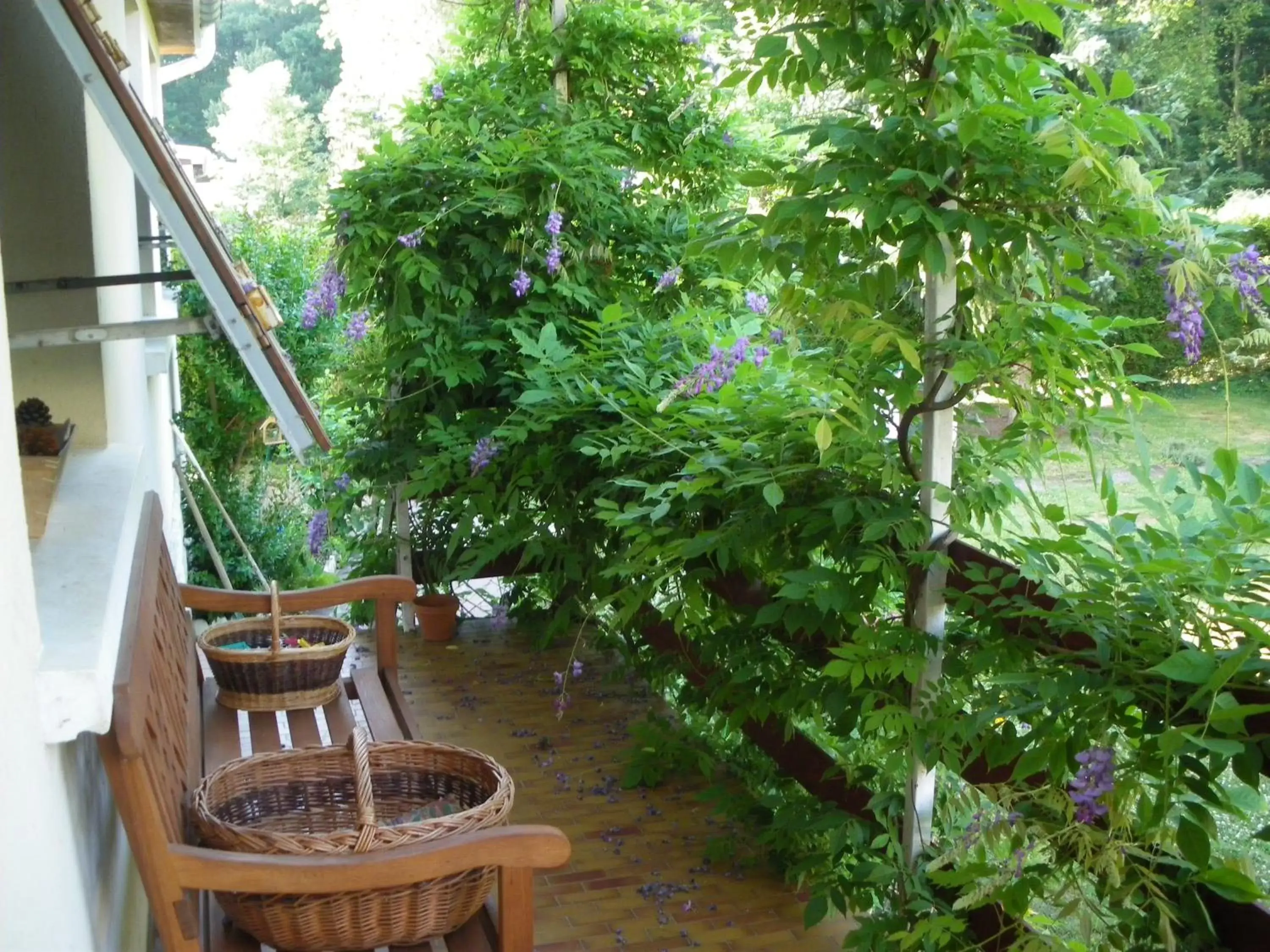 Garden view, Balcony/Terrace in Chambre d'Hôtes - DOUCE NUI-THE