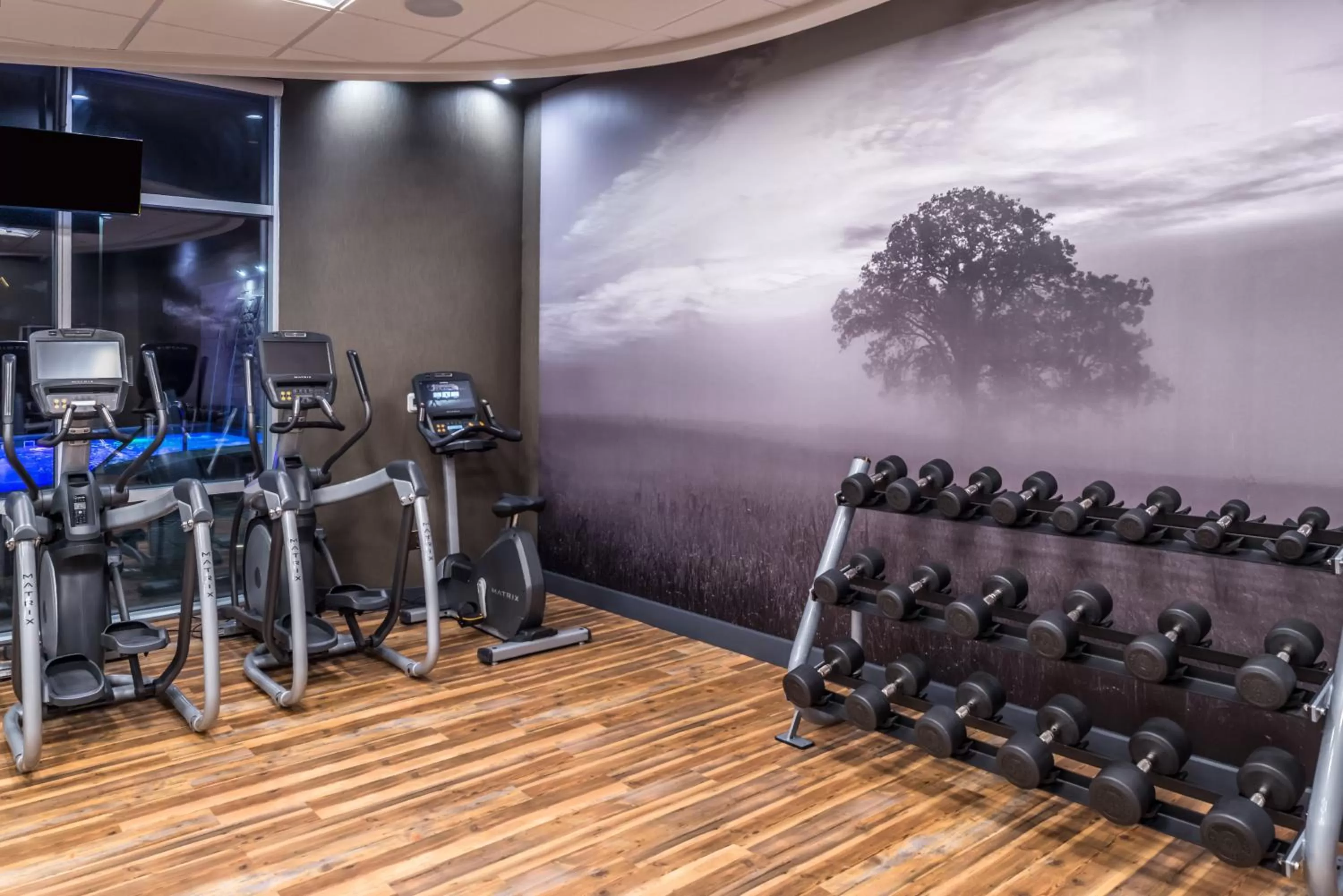 Fitness centre/facilities in Hotel Indigo Frisco by IHG