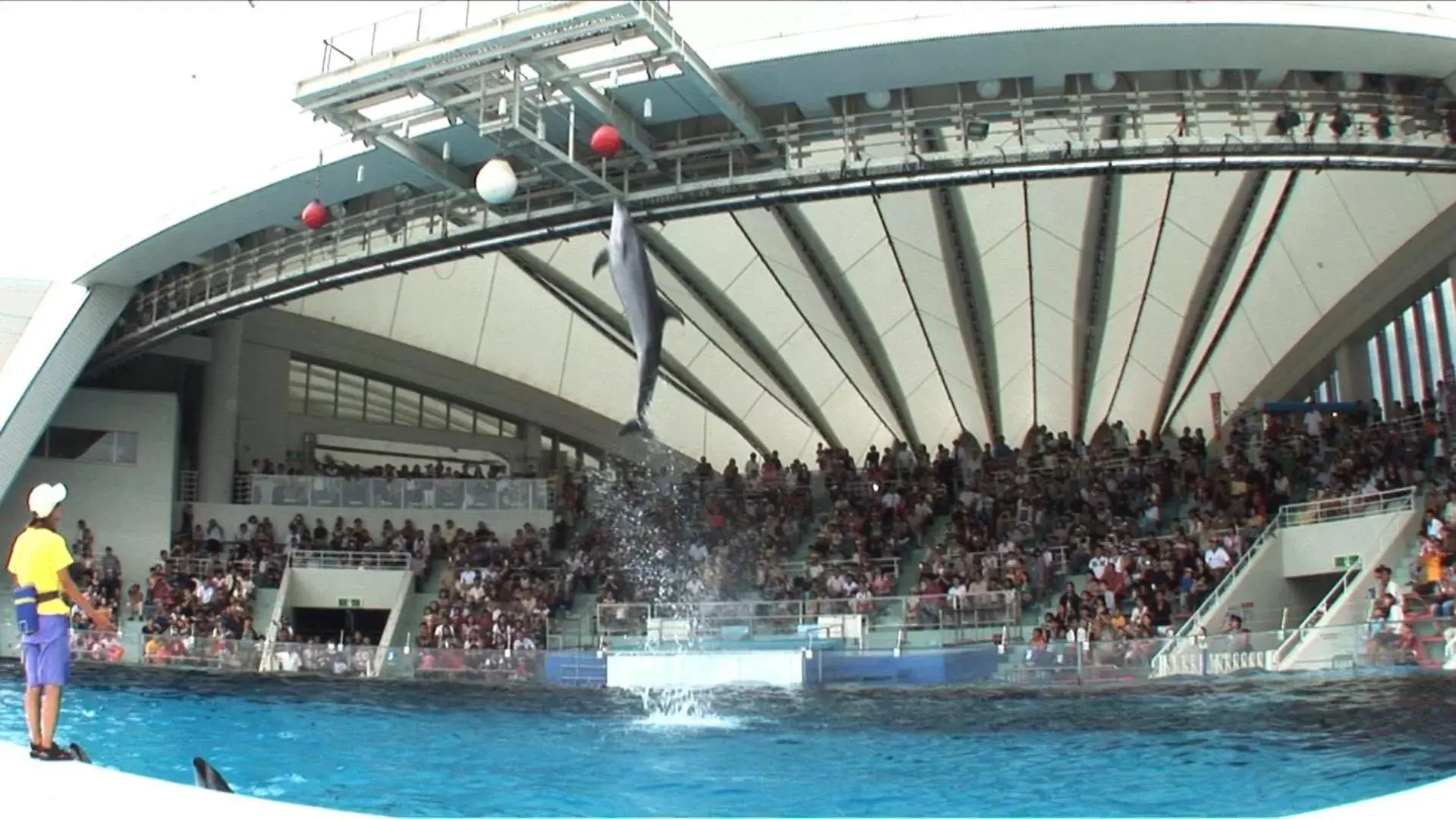 Nearby landmark, Swimming Pool in Hotel Torifito Hakata Gion