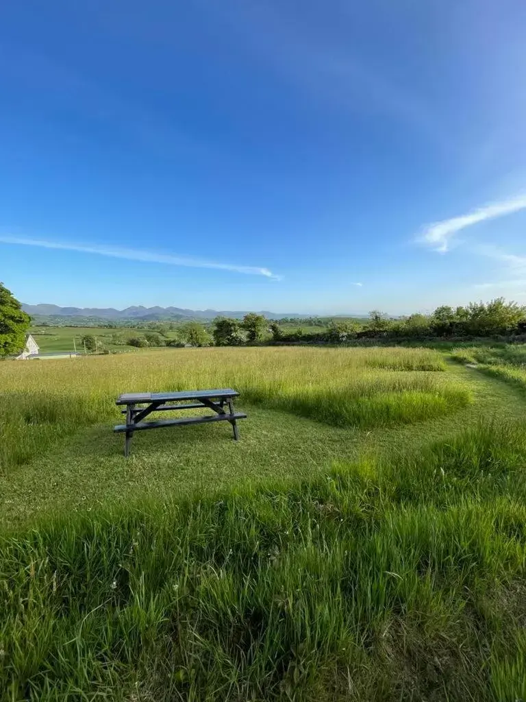 Garden in Mountainview