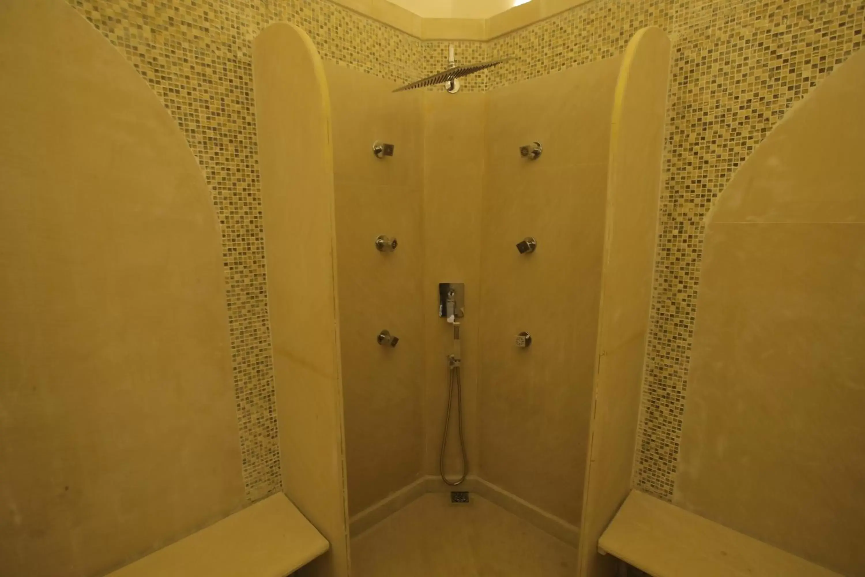 Steam room, Bathroom in Buena Vista Luxury Garden Spa Resort