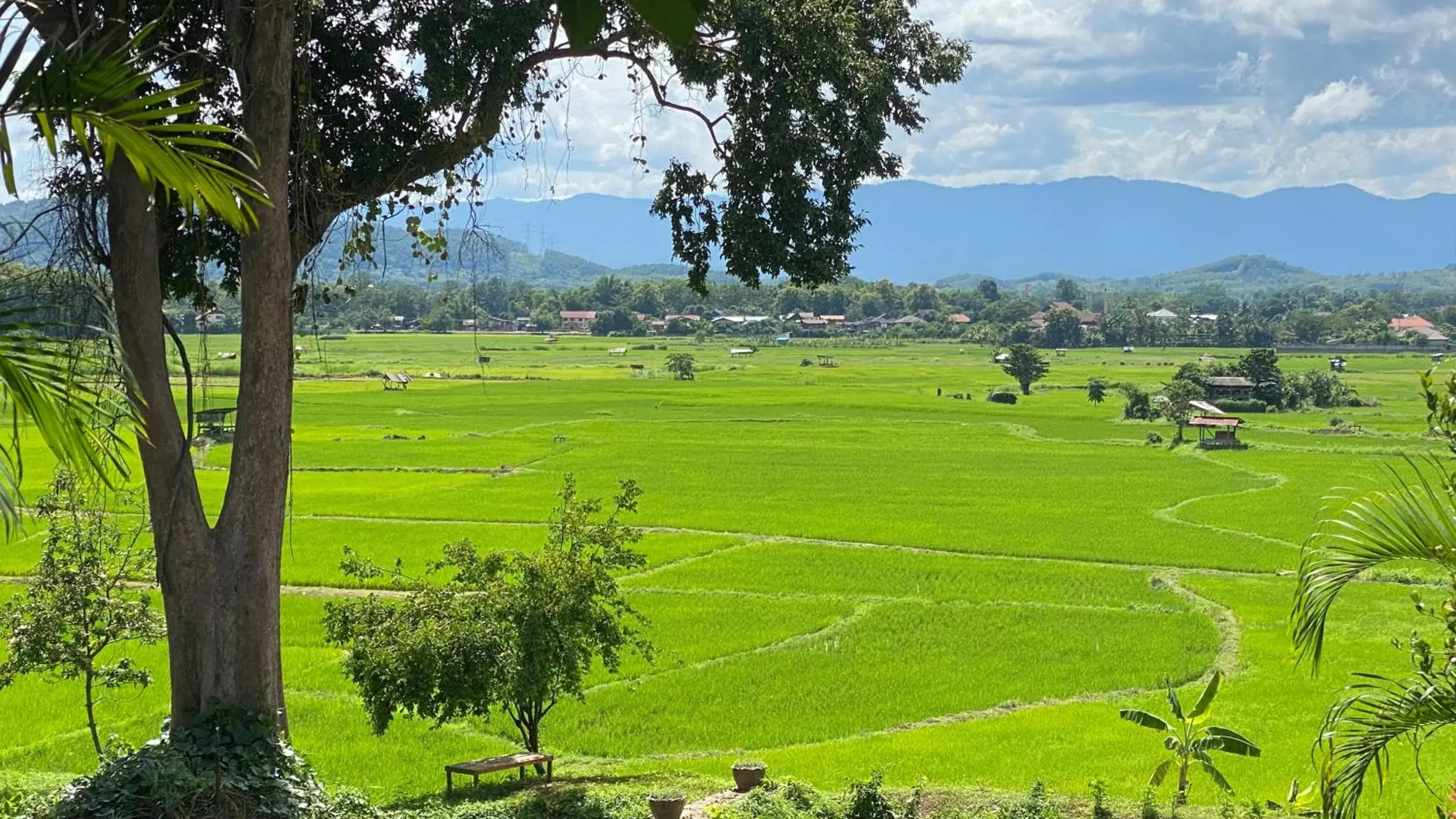 View (from property/room), Garden in Nan Seasons Boutique Resort