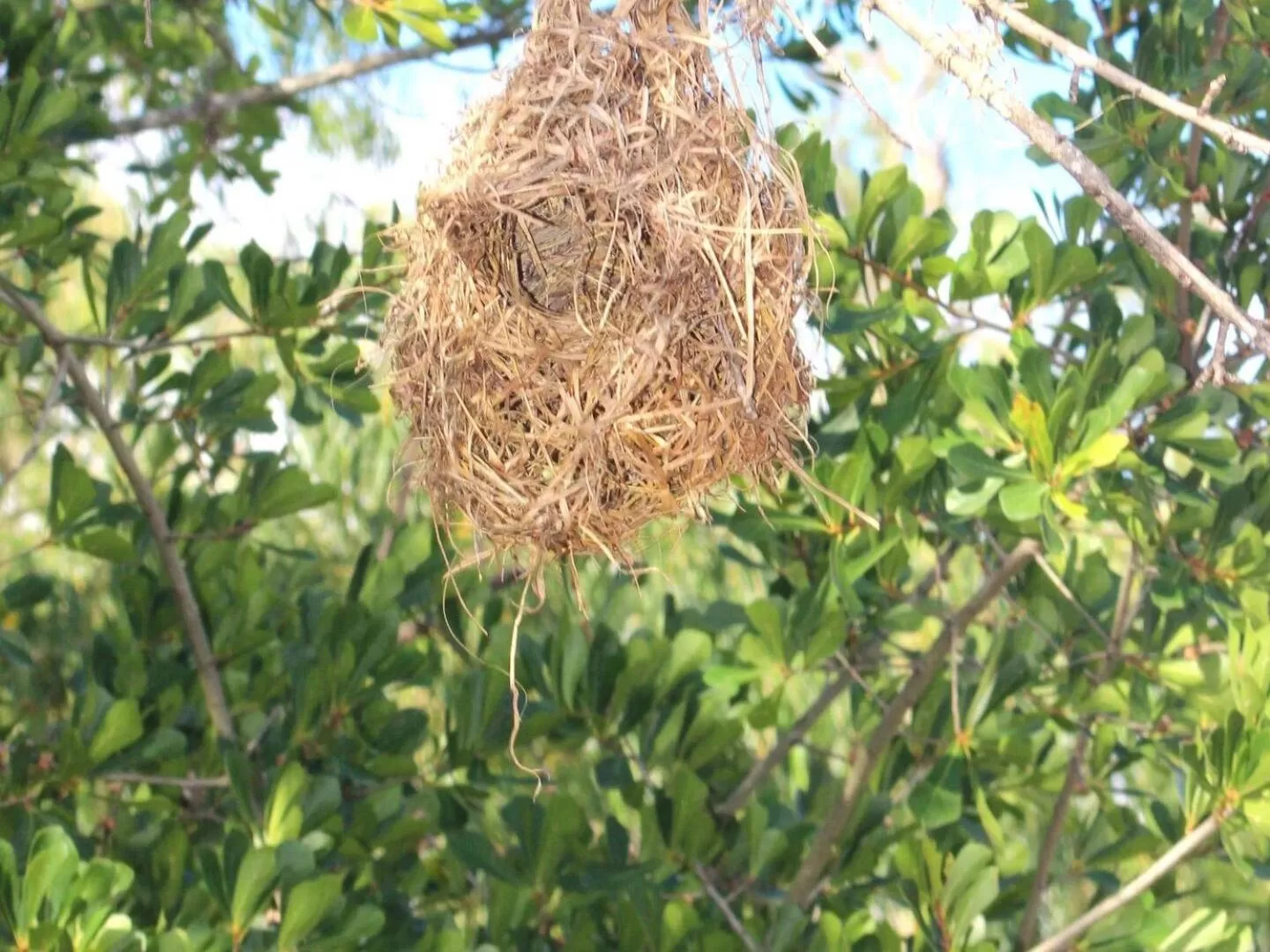 Garden, Other Animals in Blue Mountain Farm Lodge, Cabins & Cottages