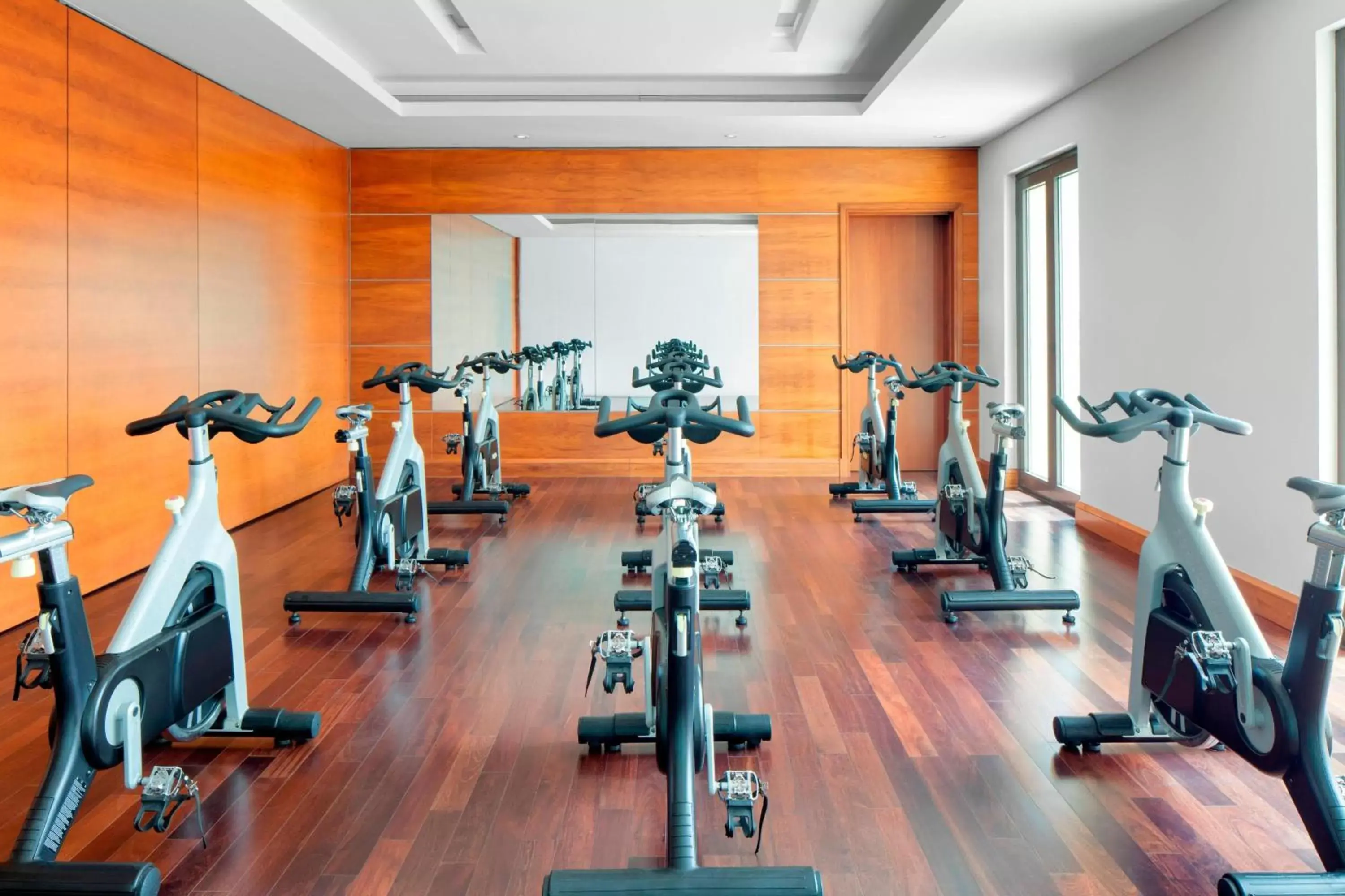 Area and facilities, Fitness Center/Facilities in The St. Regis Saadiyat Island Resort, Abu Dhabi