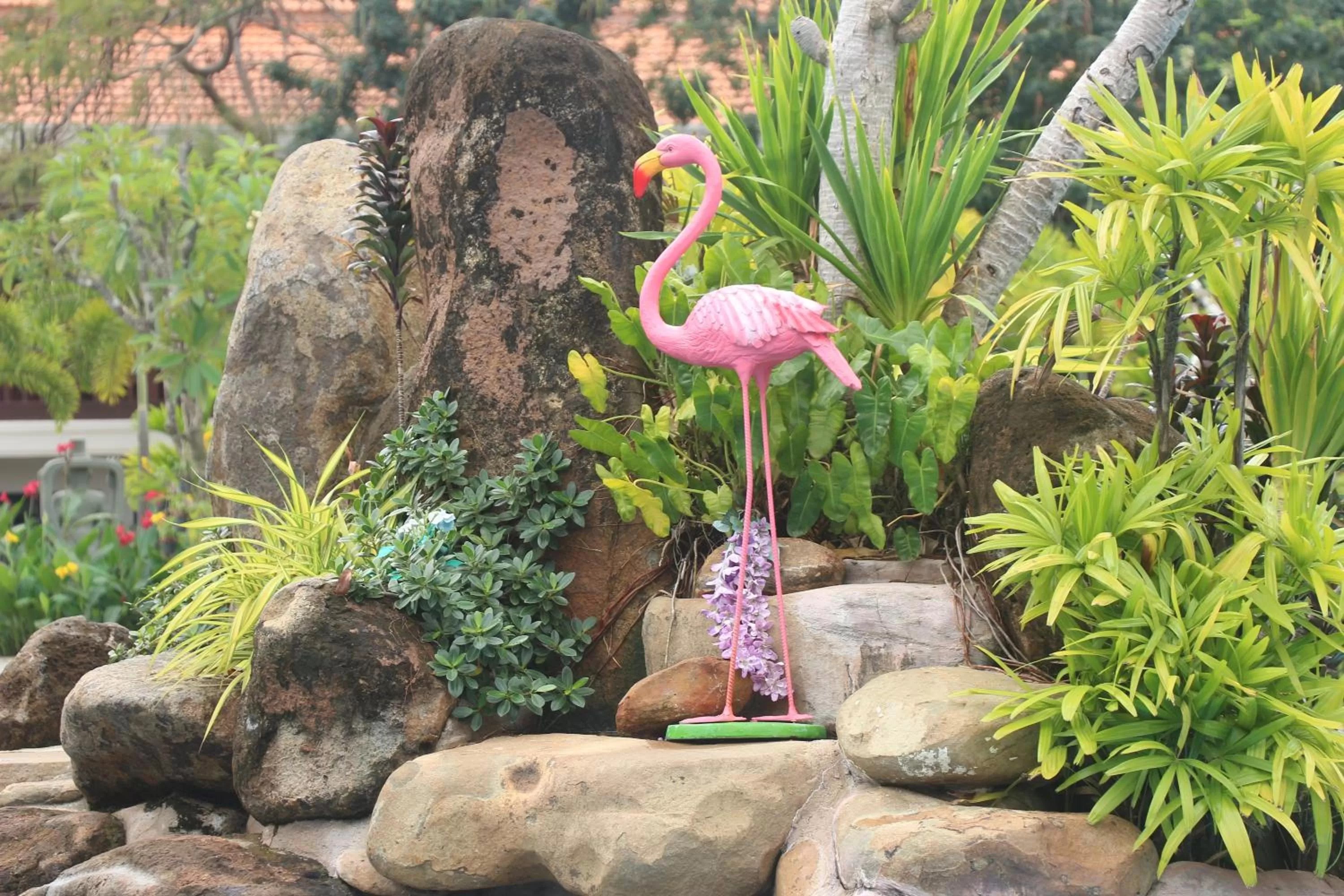 Pool view in Try Palace Resort Kep