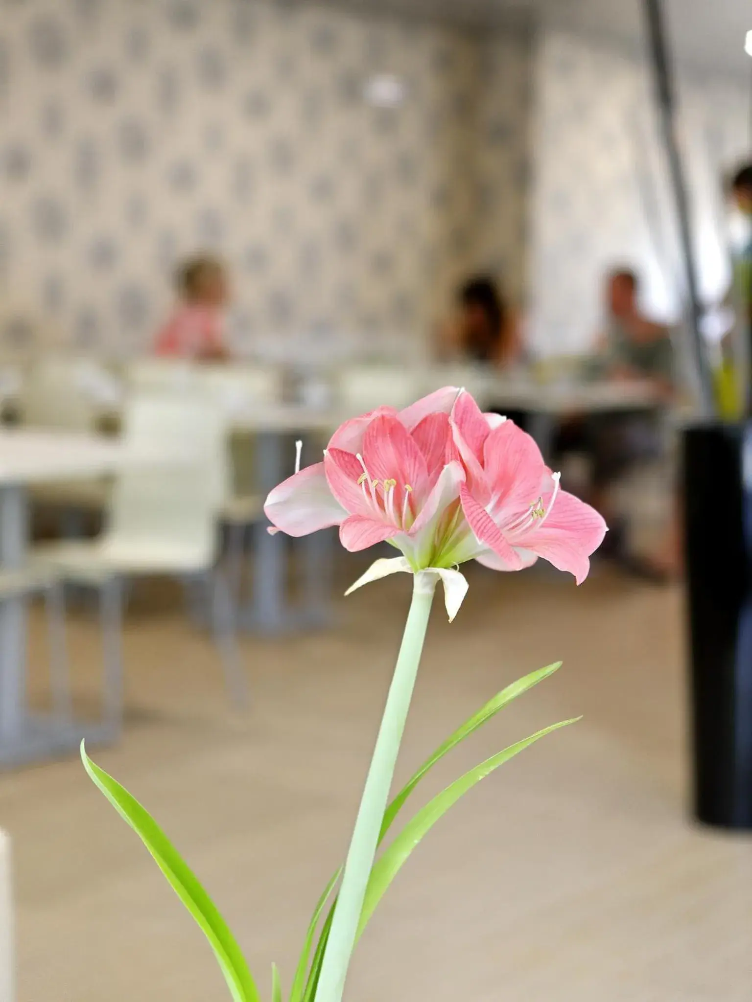 Decorative detail in Cova da Iria Hotel