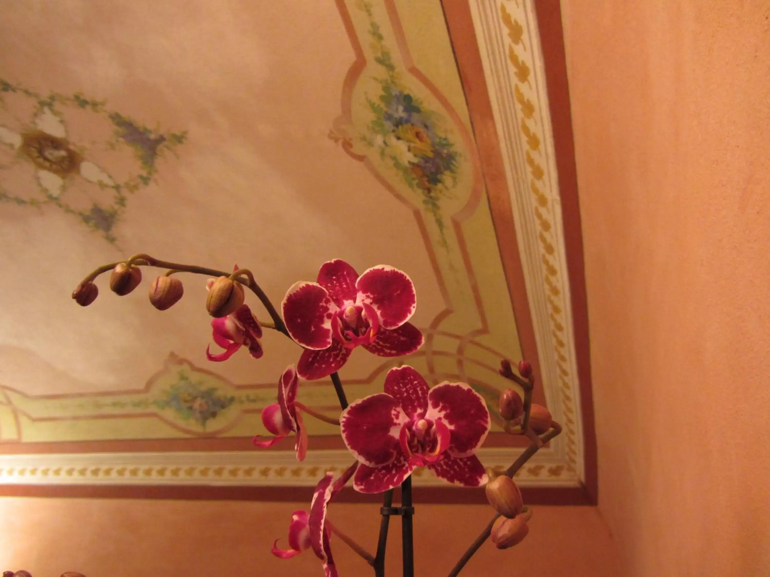 Decorative detail, Spa/Wellness in Relais Centro Storico