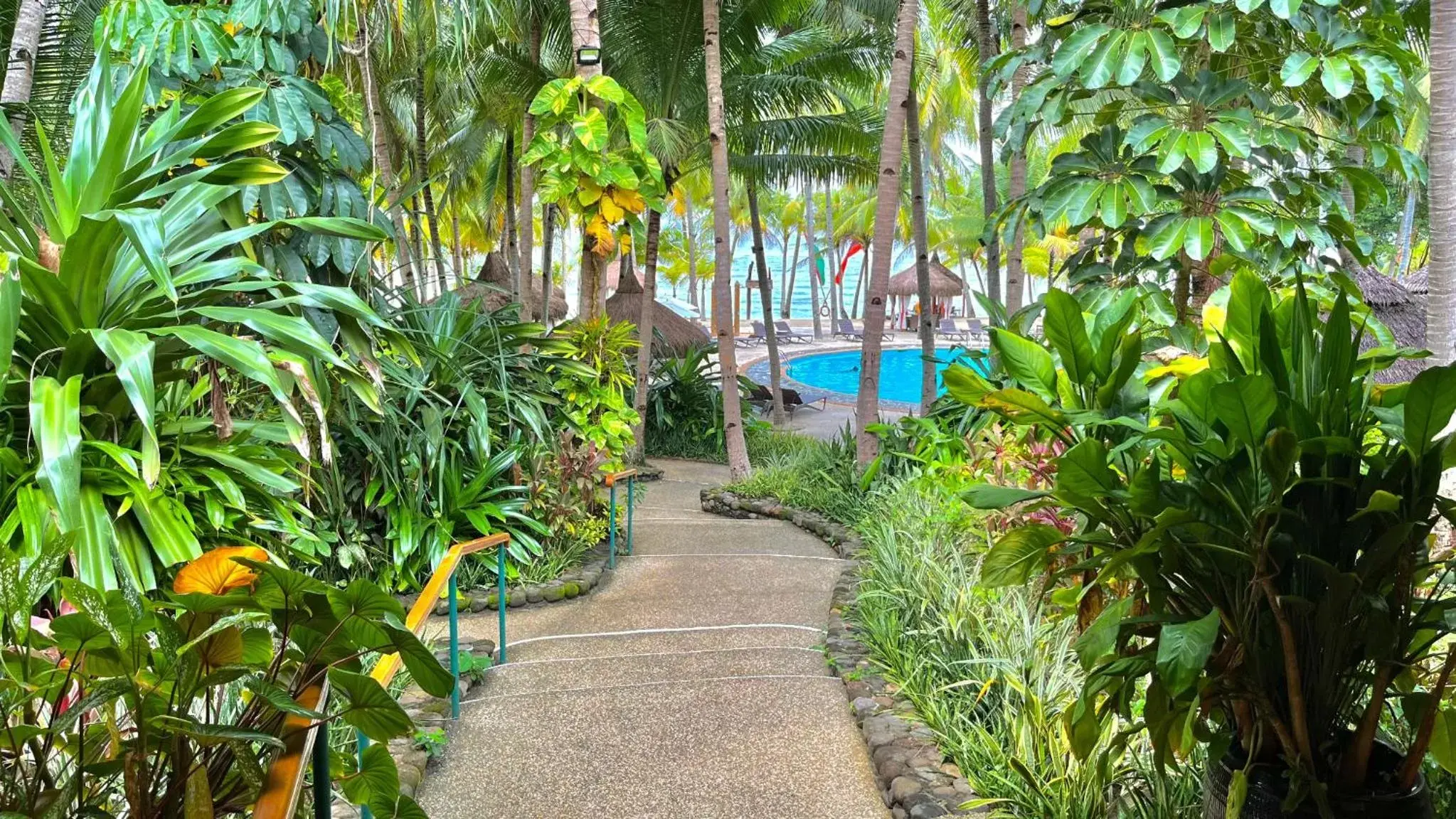 Pool view in Coco Grove Beach Resort, Siquijor Island Pool view in Coco Grove Beach Resort, Siquijor Island