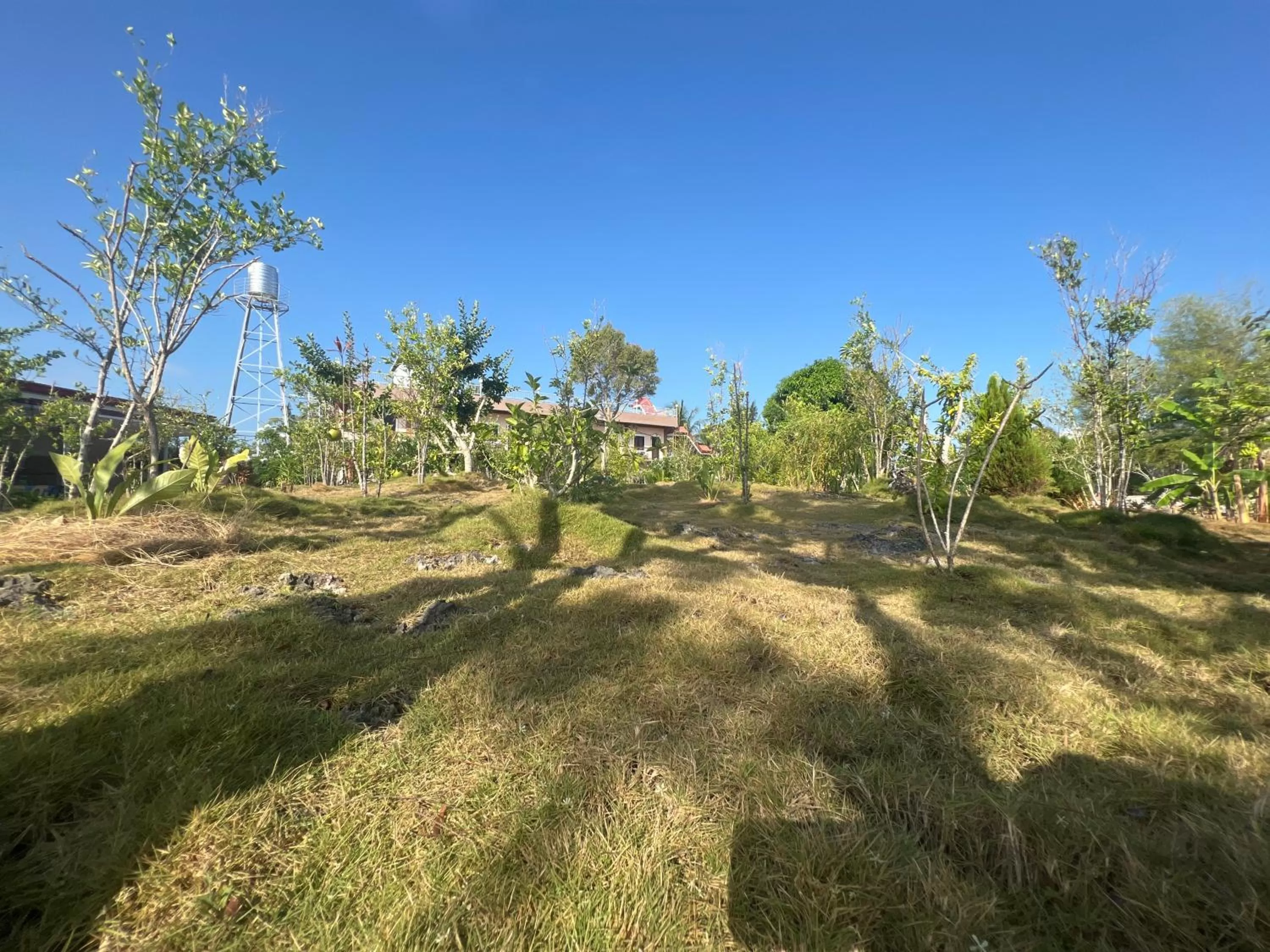 Garden in La Plumerias