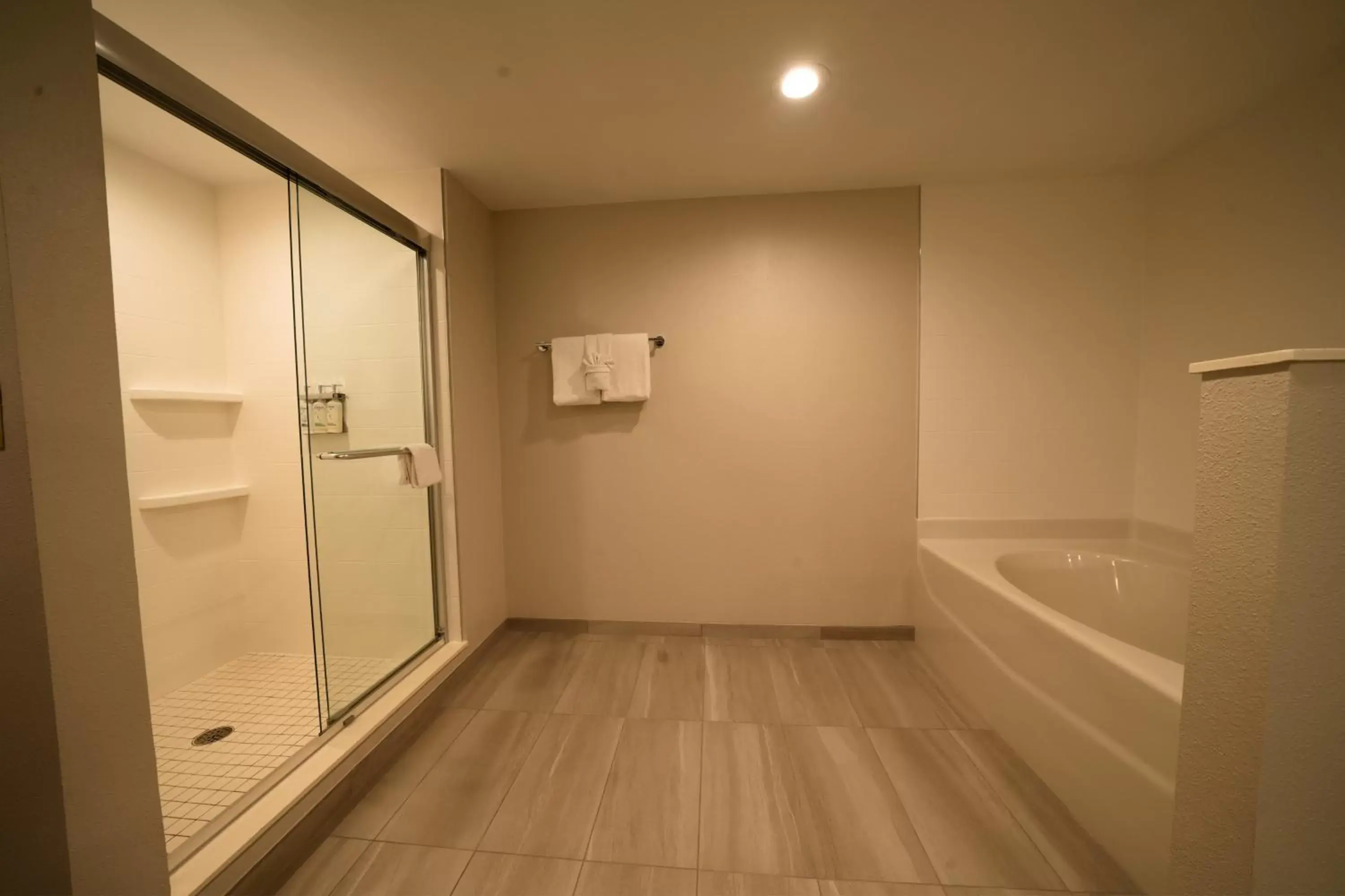 Photo of the whole room, Bathroom in Holiday Inn Express Hotel & Suites Tampa-Oldsmar, an IHG Hotel