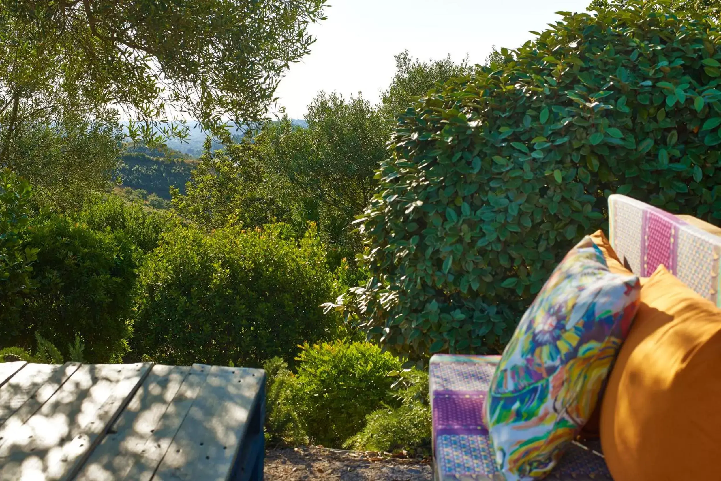 Patio in Hotel Rural Quinta do Marco - Nature & Dining