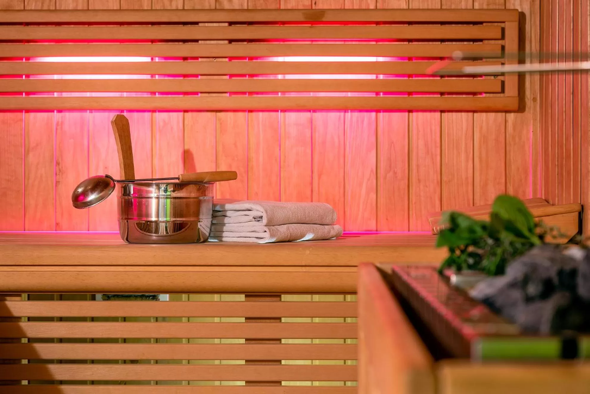 Sauna in Insel Hotel Bonn - Superior