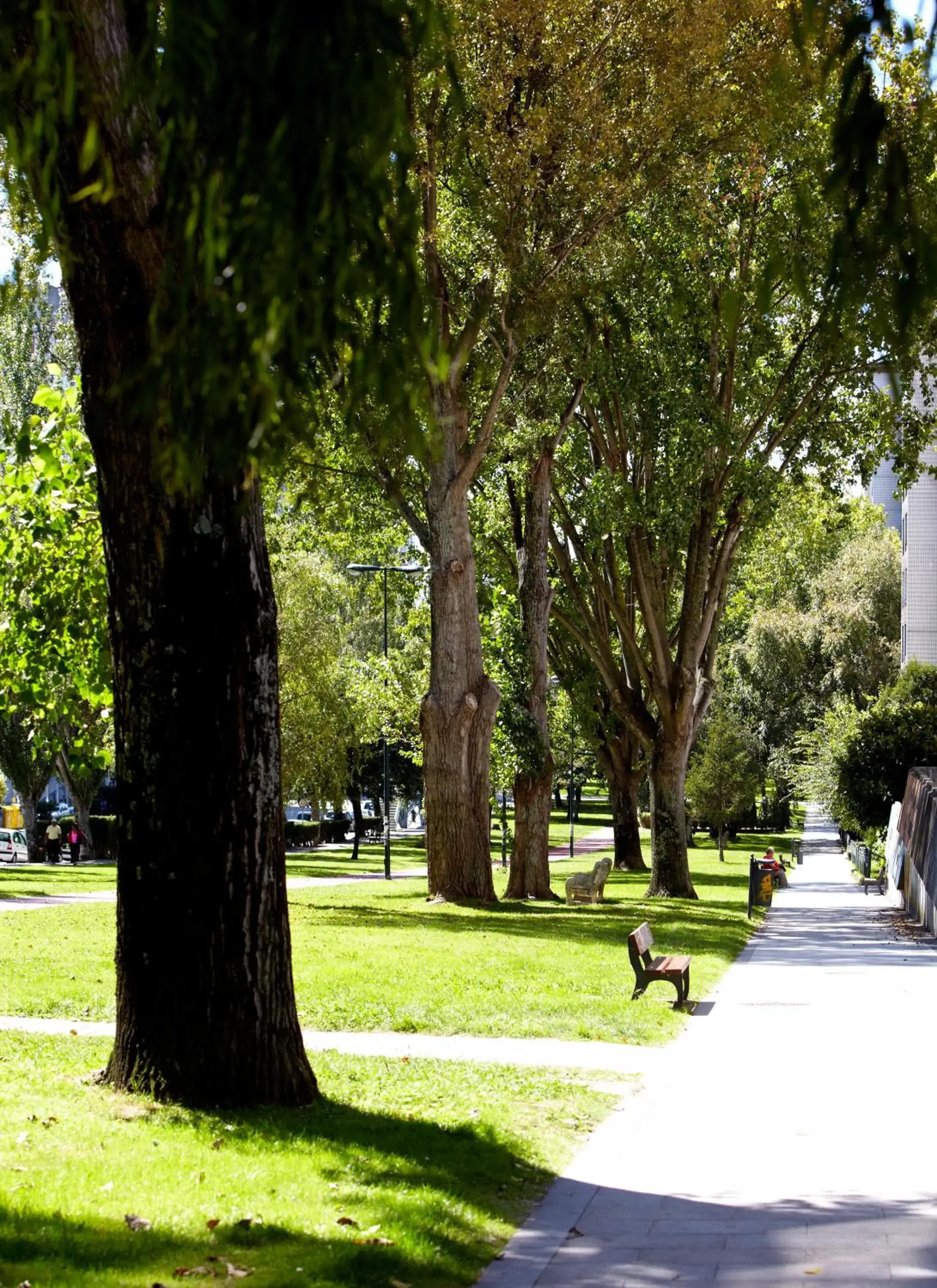 Area and facilities, Garden in Hotel Coia de Vigo