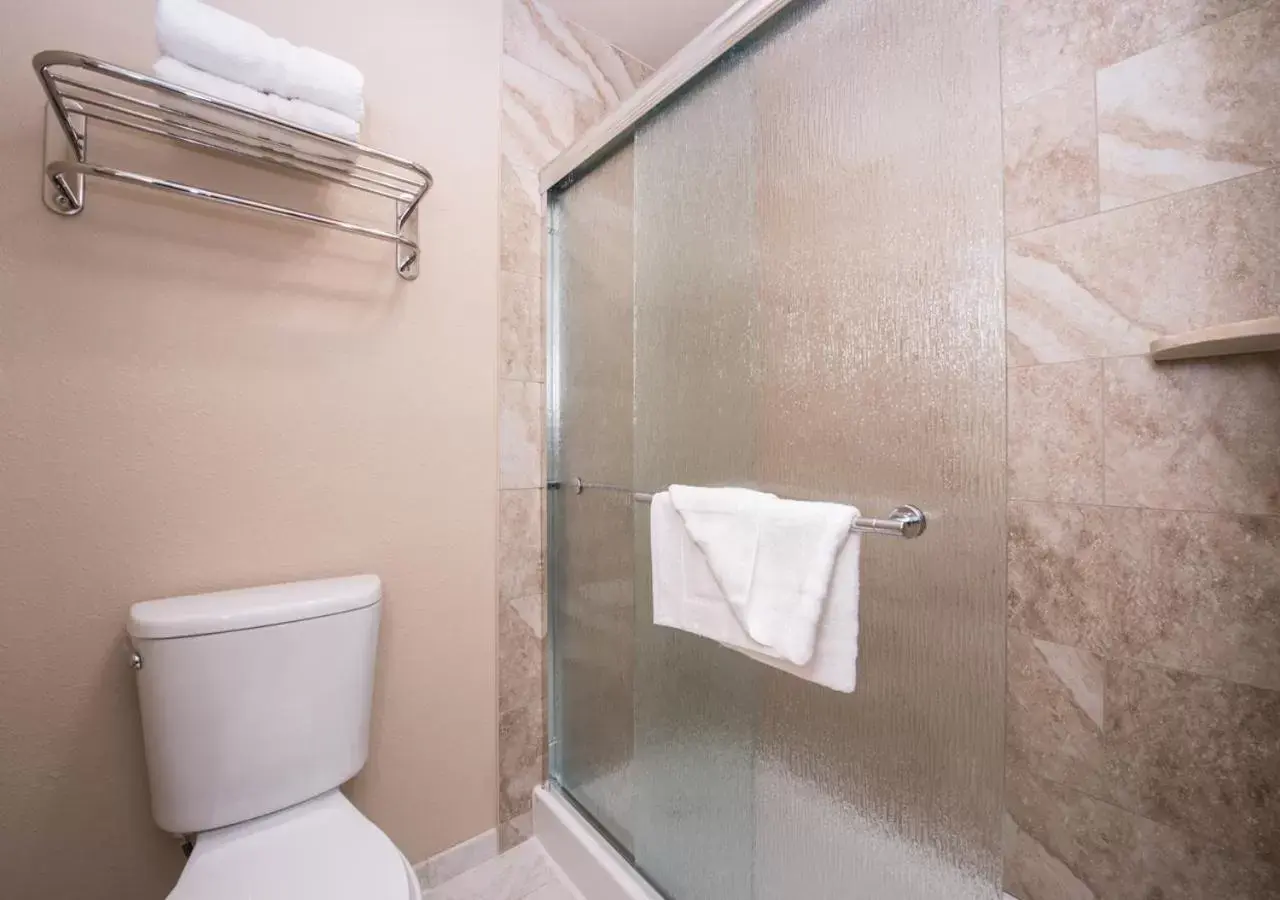 Shower, Bathroom in La Fuente Inn & Suites