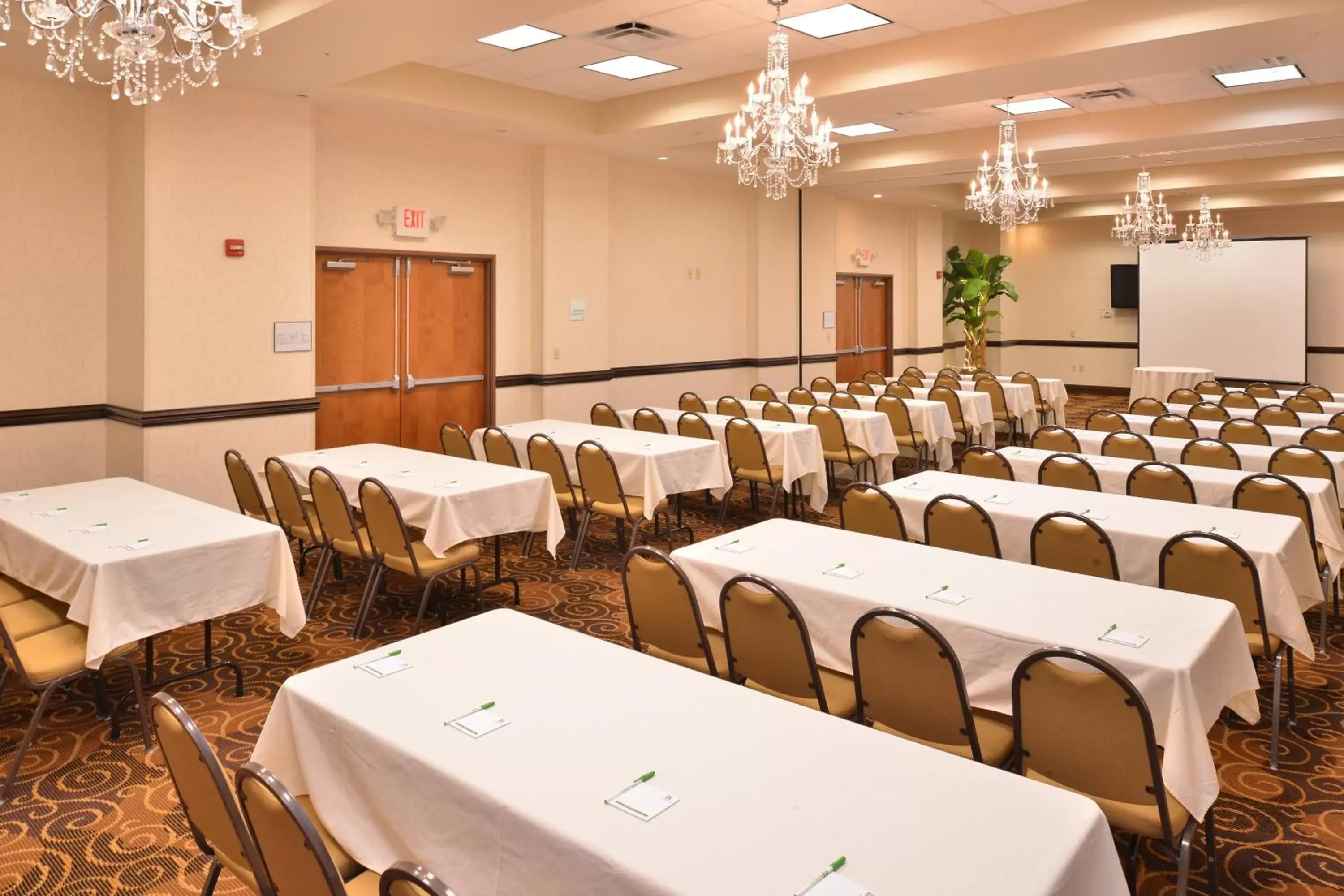 Meeting/conference room in Holiday Inn Montgomery South Airport, an IHG Hotel