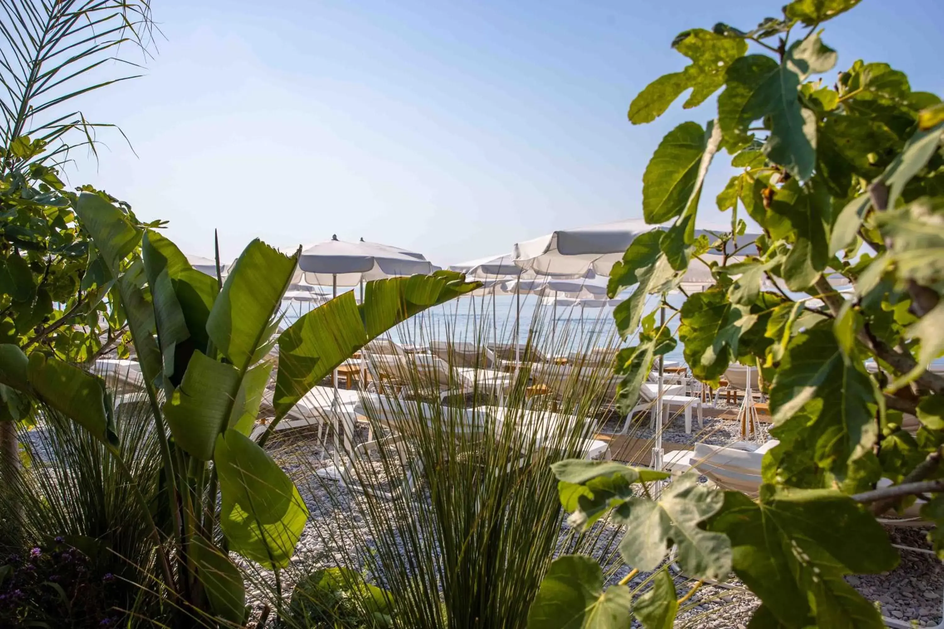 Beach in Hotel Le Negresco