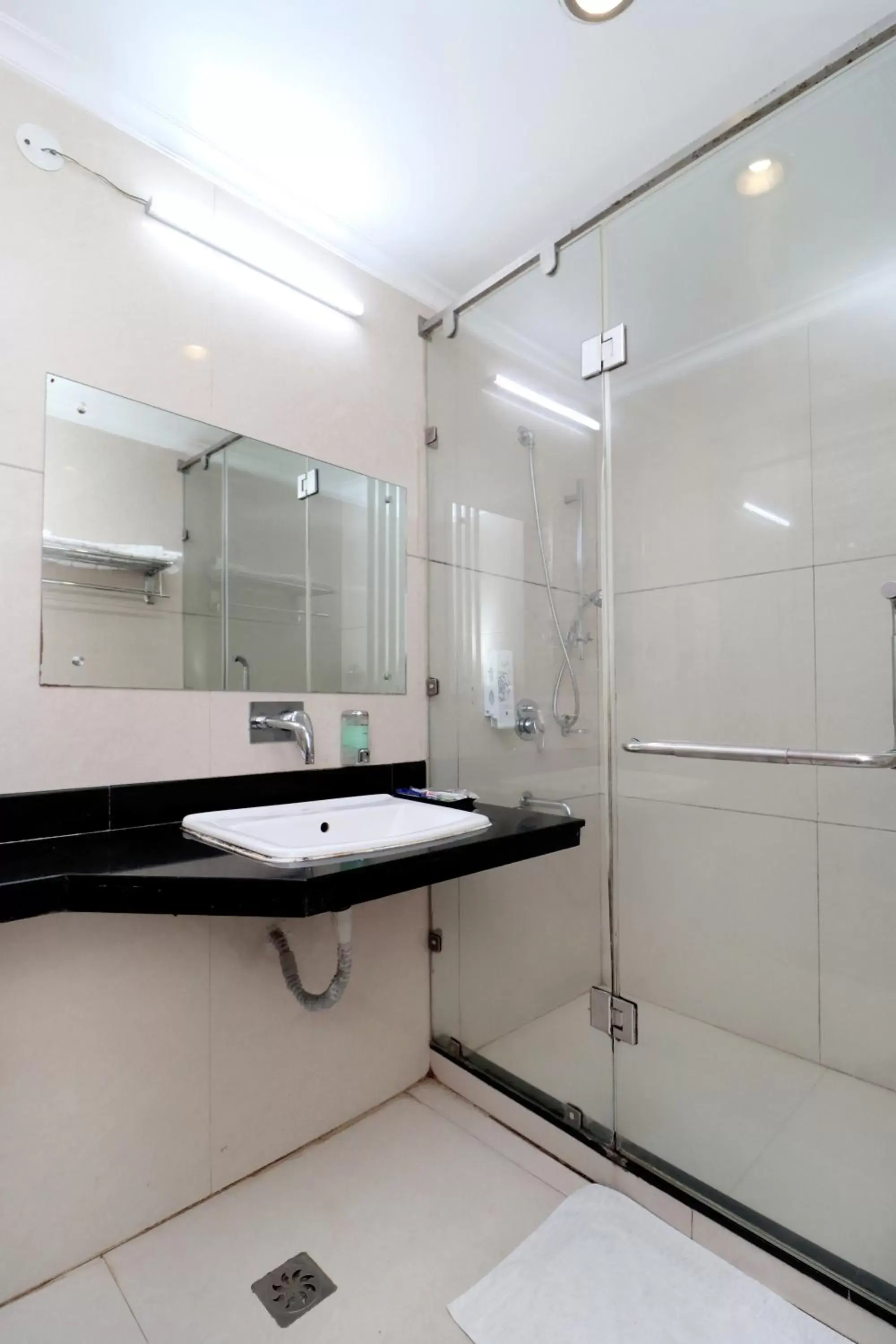 Bathroom in Hotel Rajshree & Spa