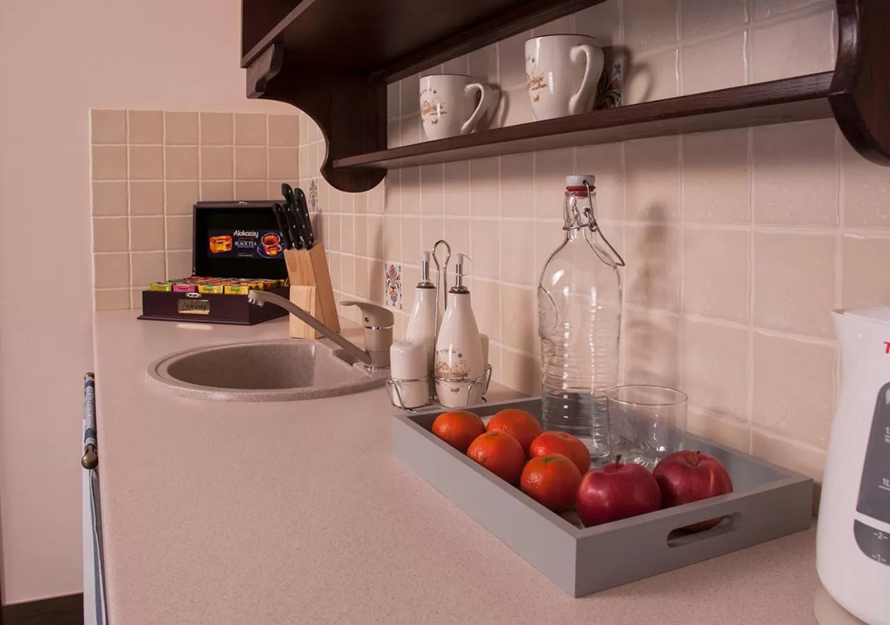 Kitchen or kitchenette in Sicheslav Ekaterinoslav