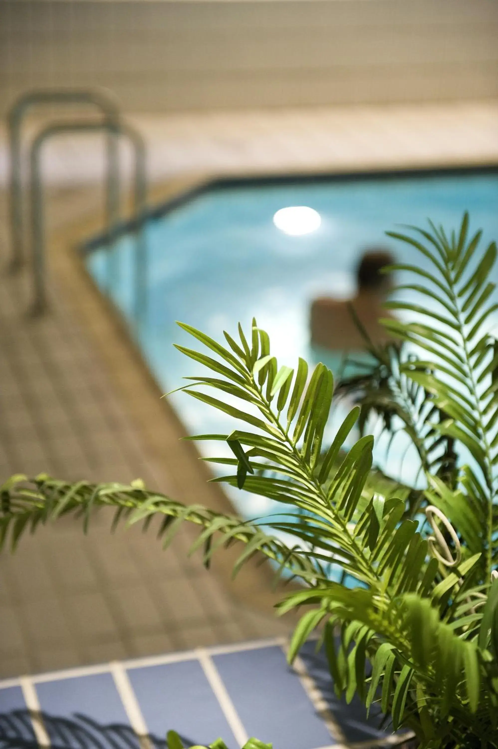 Swimming Pool in Fletcher Hotel-Restaurant Nieuwegein-Utrecht