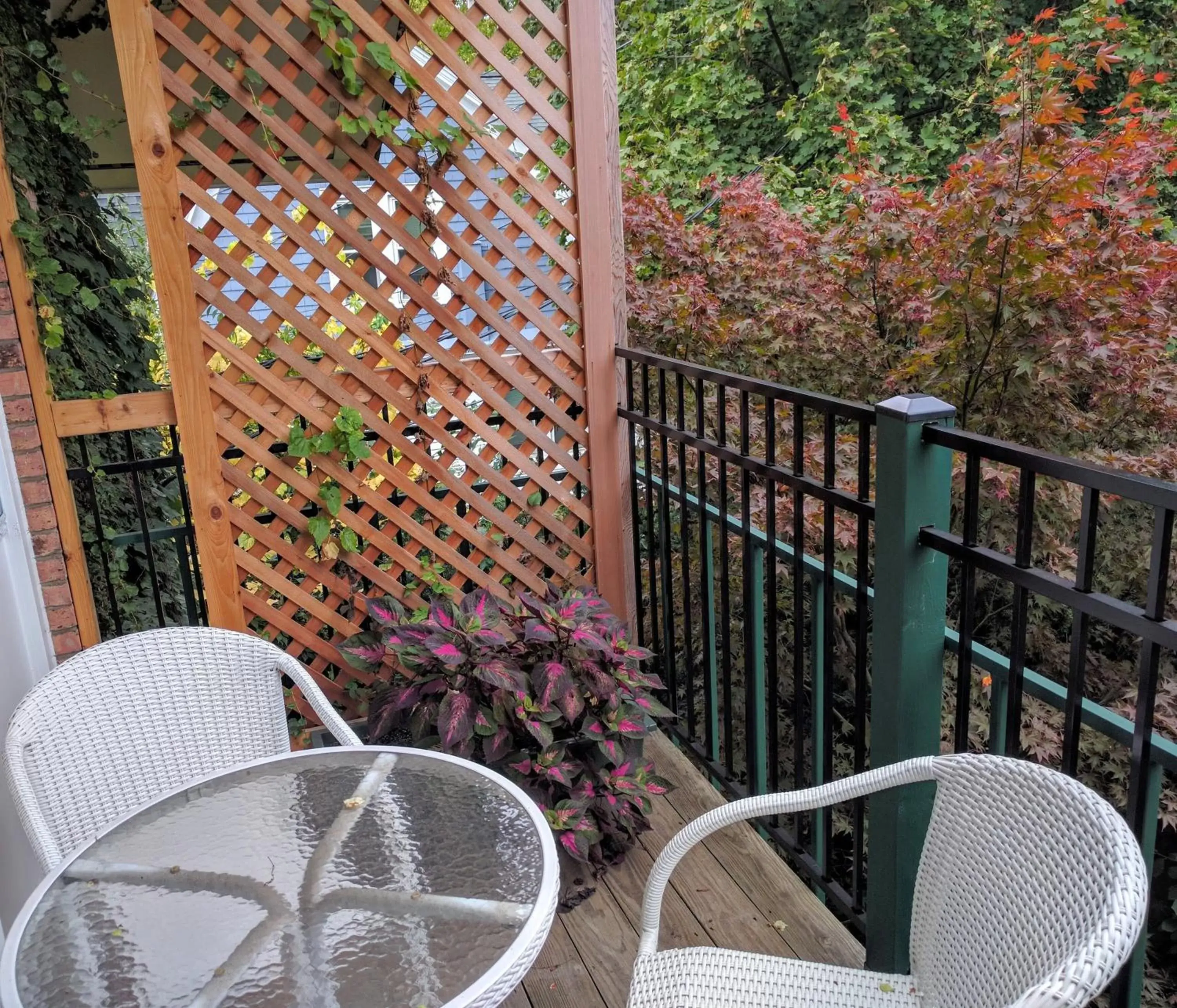 Balcony/Terrace in Ann Arbor Bed and Breakfast