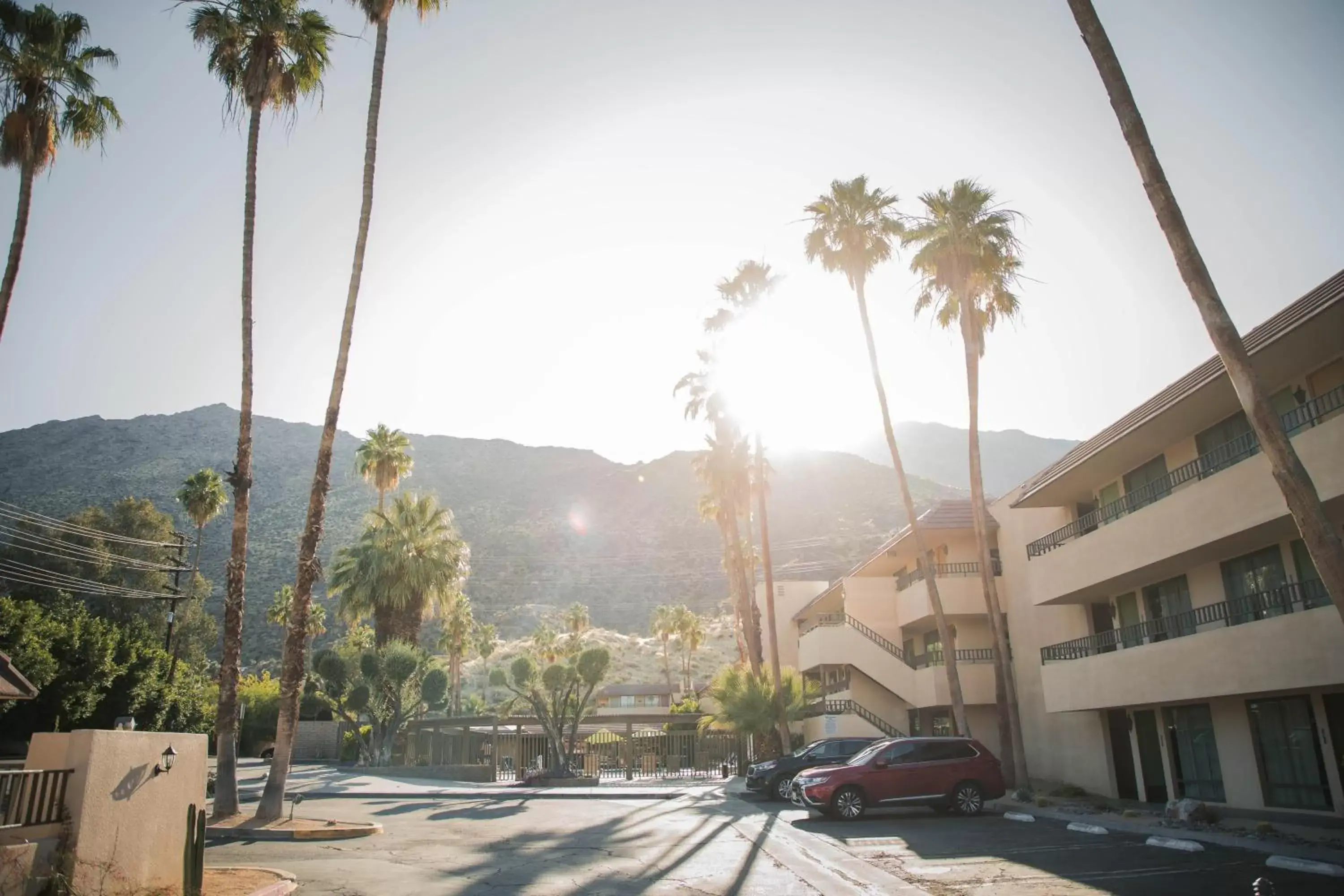 Area and facilities in Vagabond Motor Hotel - Palm Springs