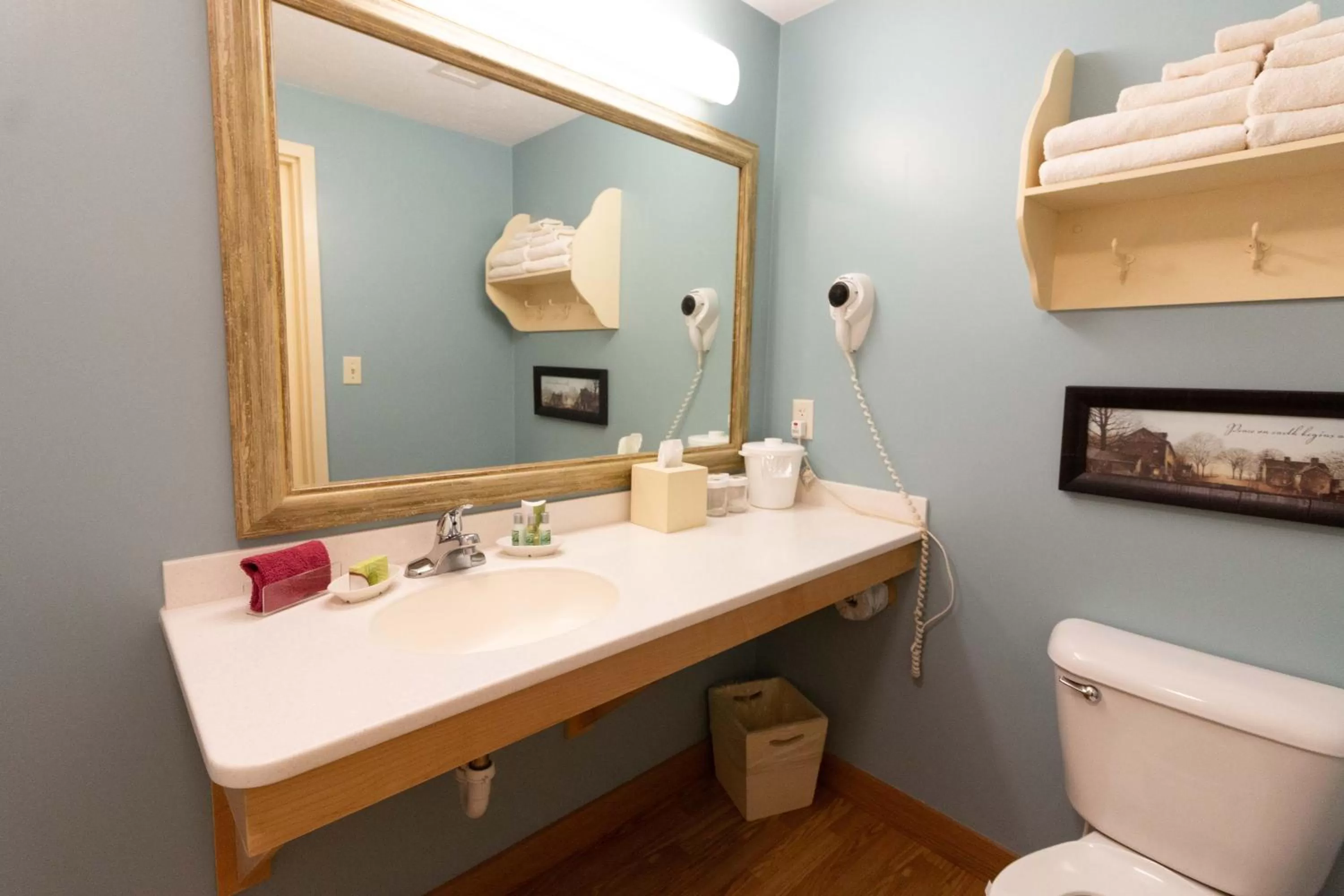 Bathroom in Essenhaus Inn & Conf. Center