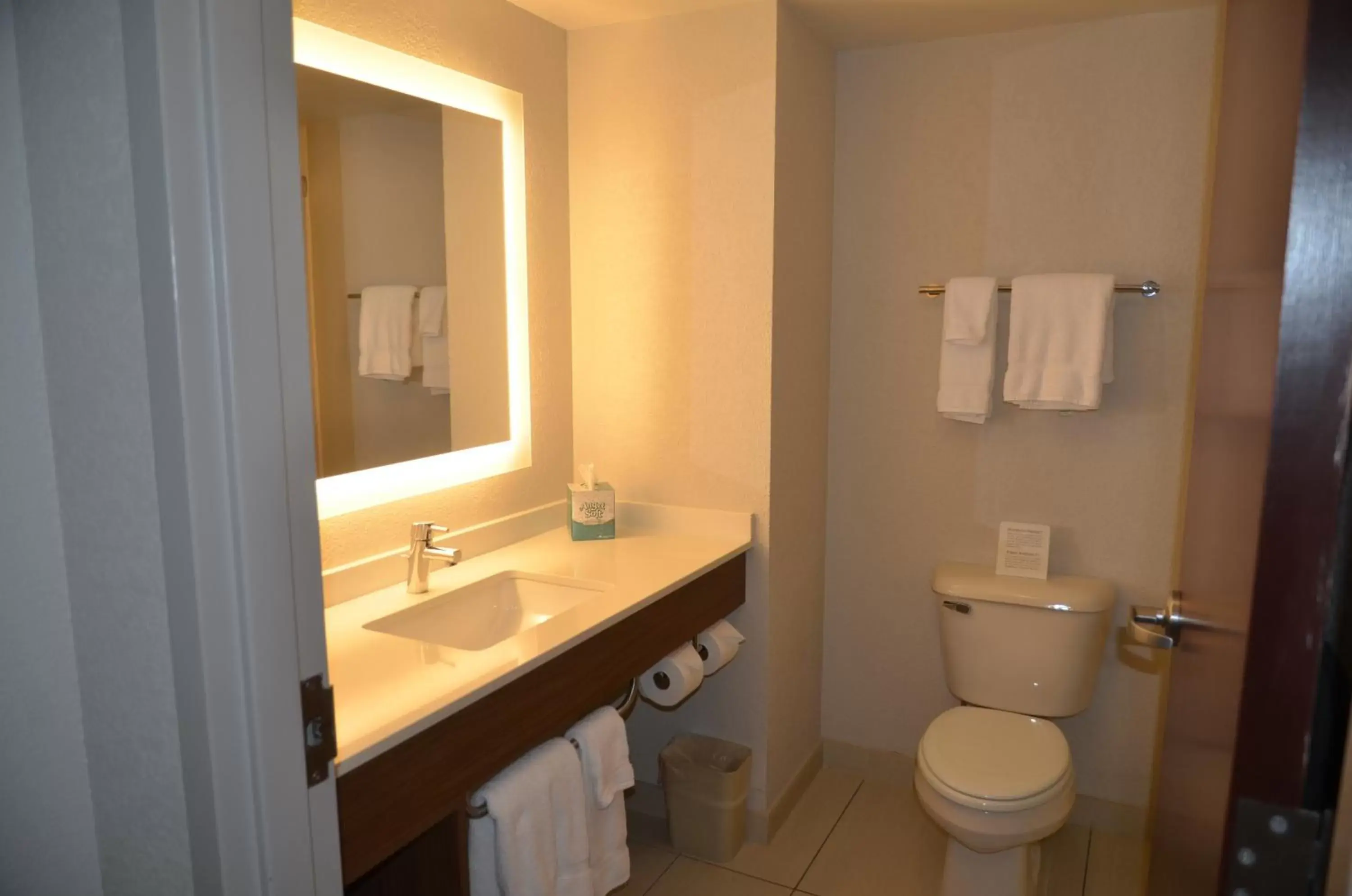 Bathroom in Holiday Inn Express Hotel & Suites Rochester, an IHG Hotel