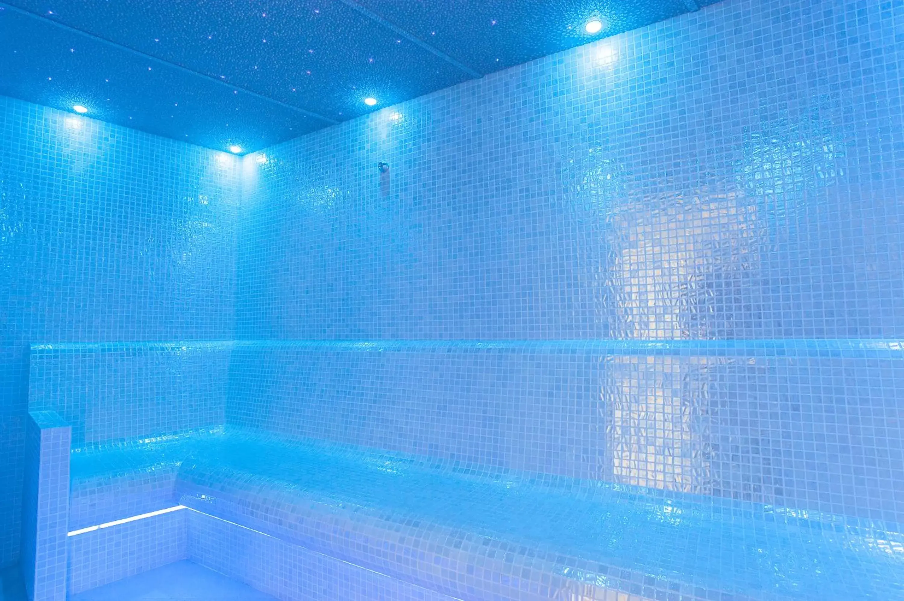 Steam room, Swimming Pool in Harbour Hotel Sidmouth