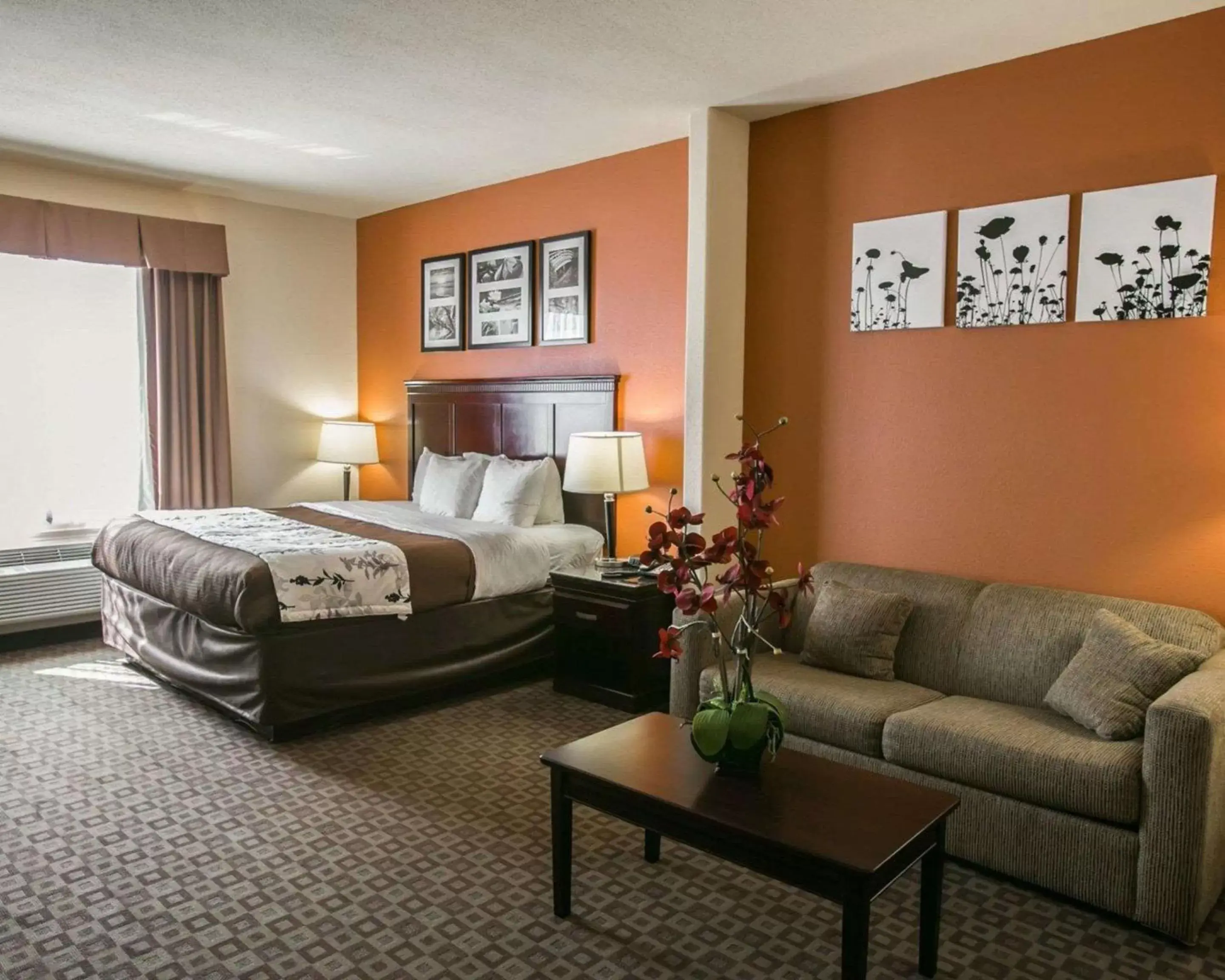 Photo of the whole room in Sleep Inn & Suites Highway 290/Northwest Freeway