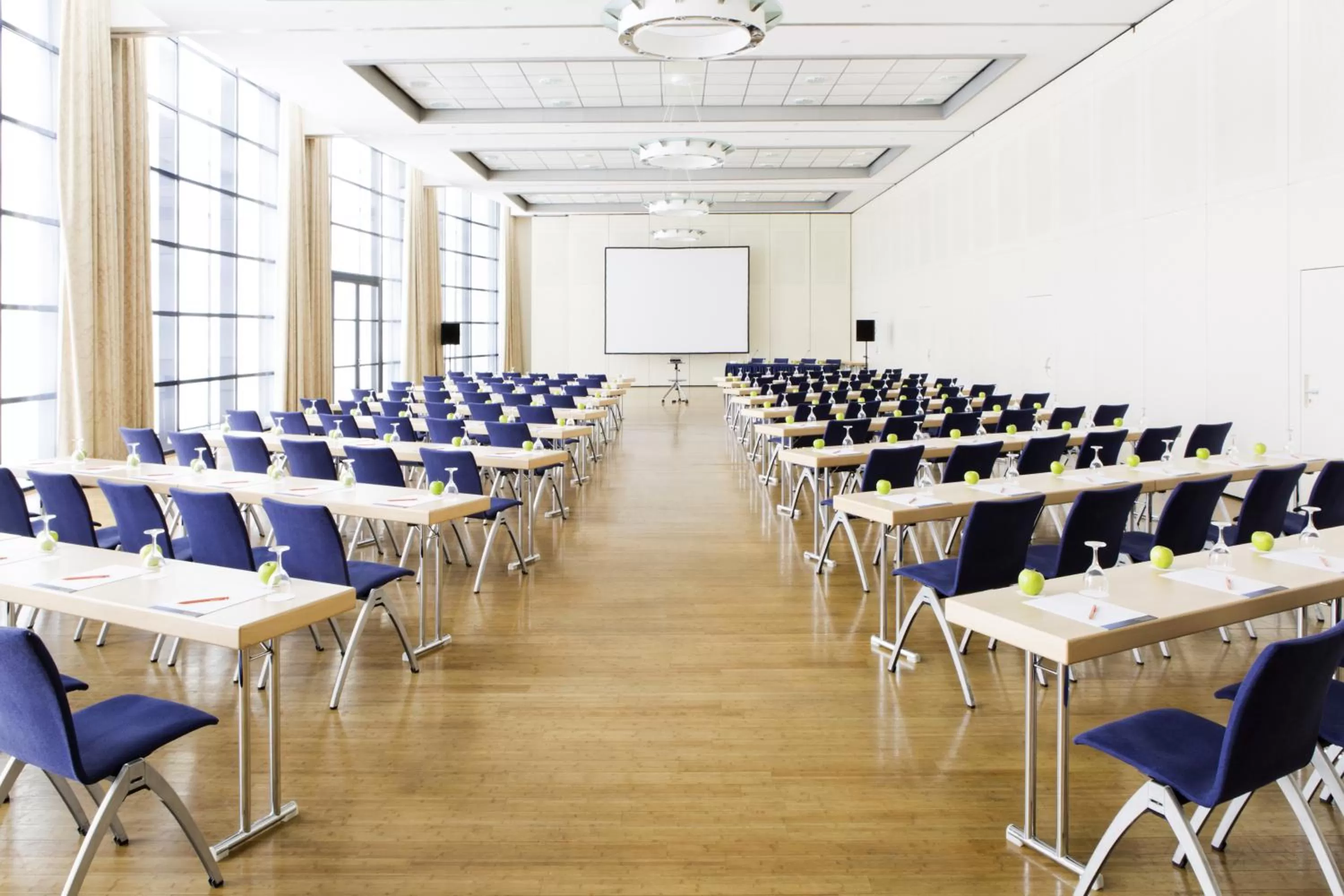 Business facilities in NOVOTEL Hildesheim City