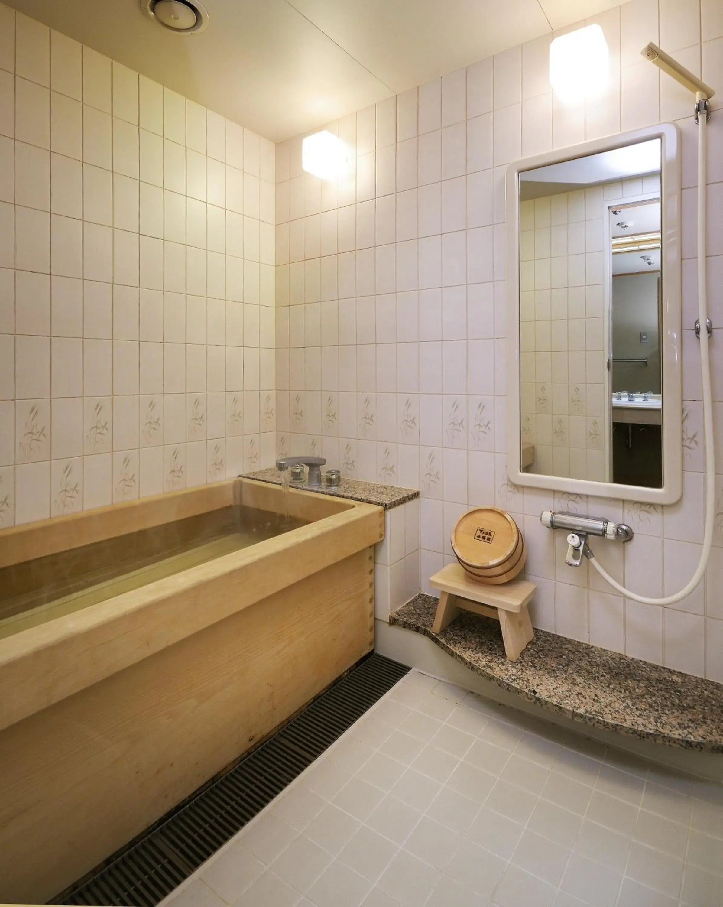 Hot Spring Bath, Bathroom in Gero Onsen Suimeikan