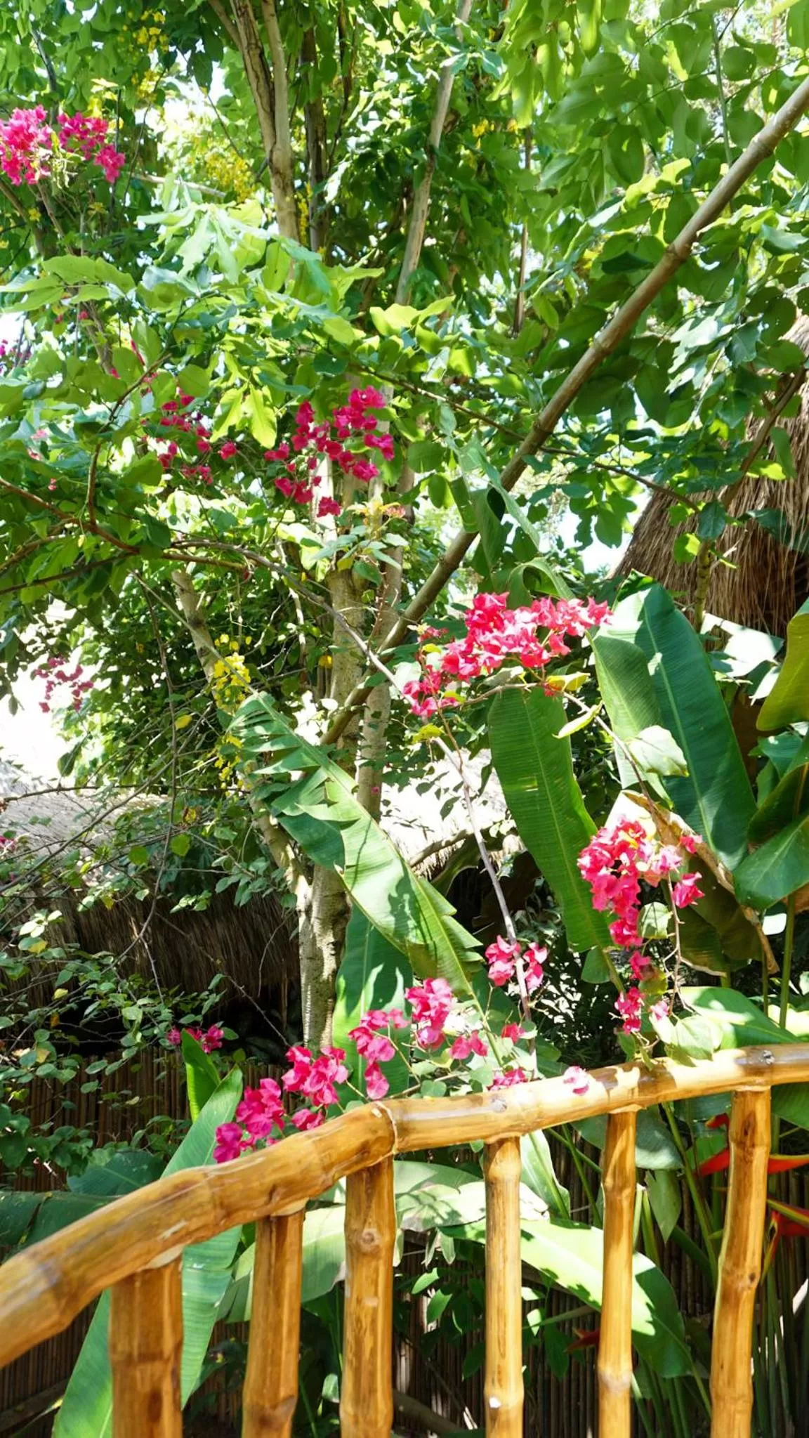 Garden in La Colonial Resort