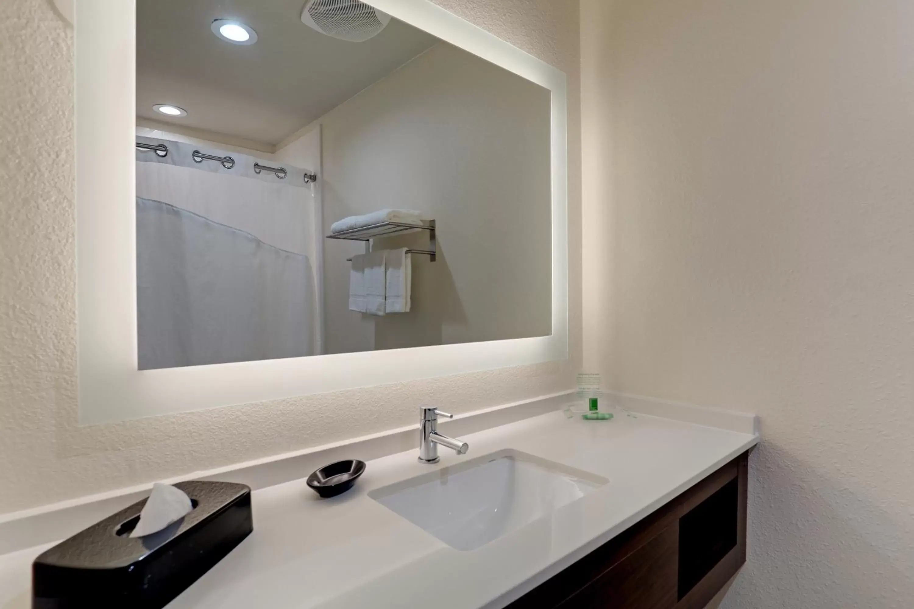 Shower, Bathroom in Holiday Inn Mobile Airport, an IHG Hotel