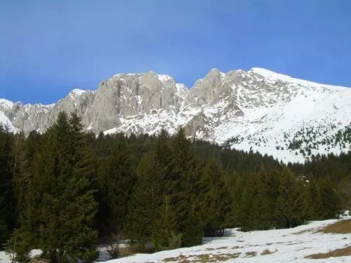 Area and facilities in Hotel Residence La Rosa