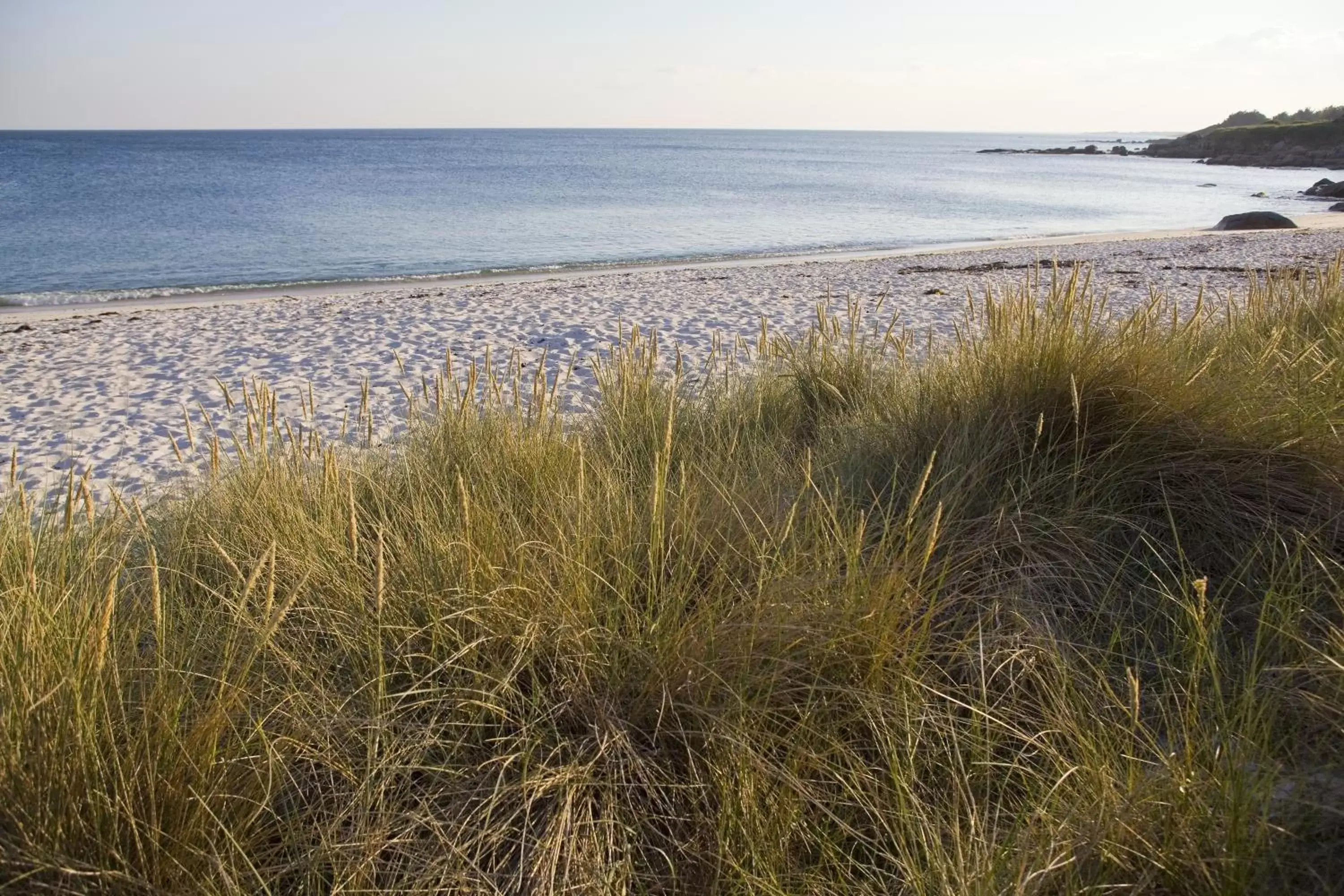 Area and facilities, Beach in Résidence Goélia Le Domaine des Glénan