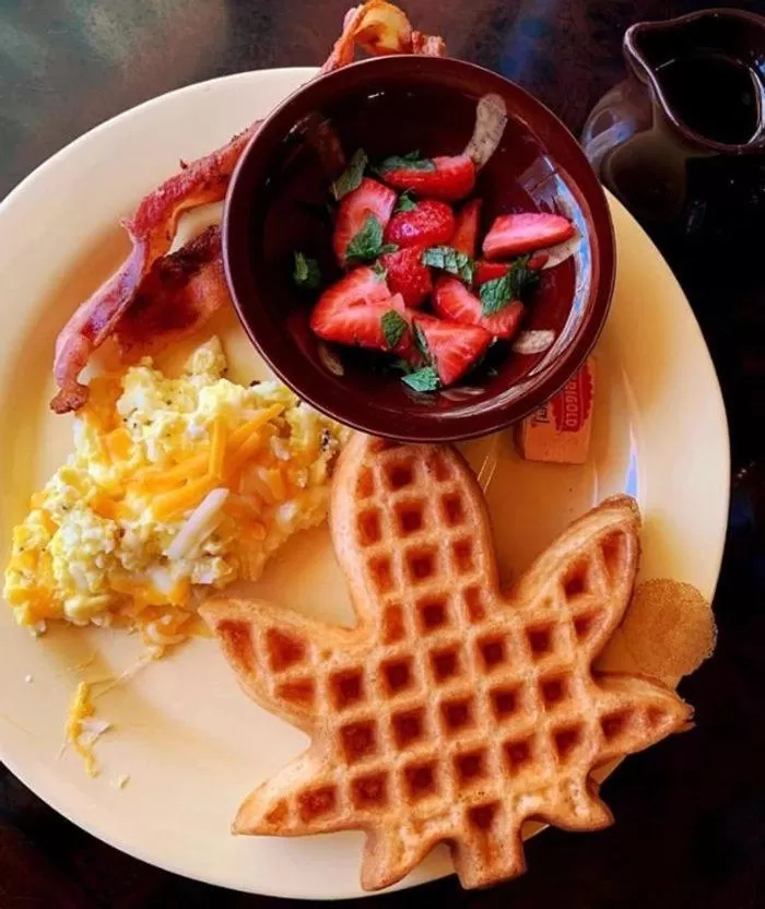 Breakfast, Food in Hicksville Pines Chalets & Motel