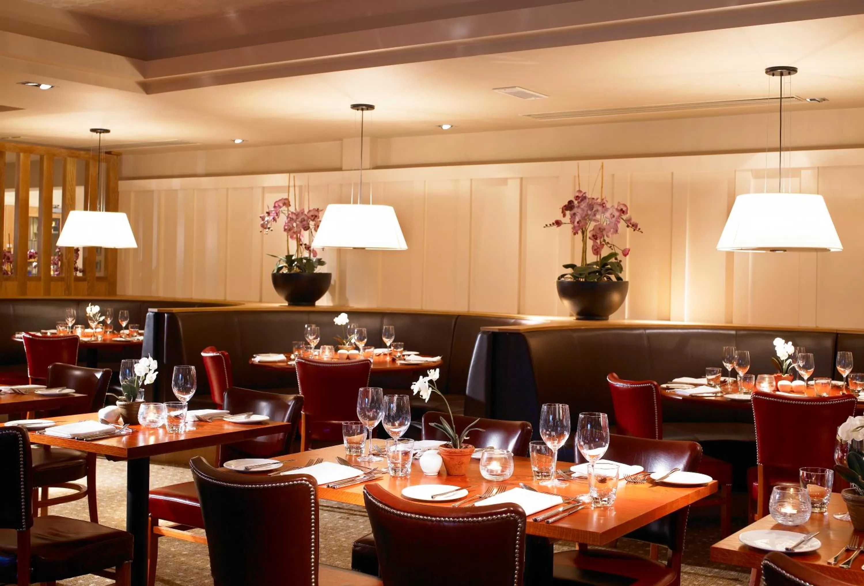 Restaurant/places to eat in De Vere Cranage Estate