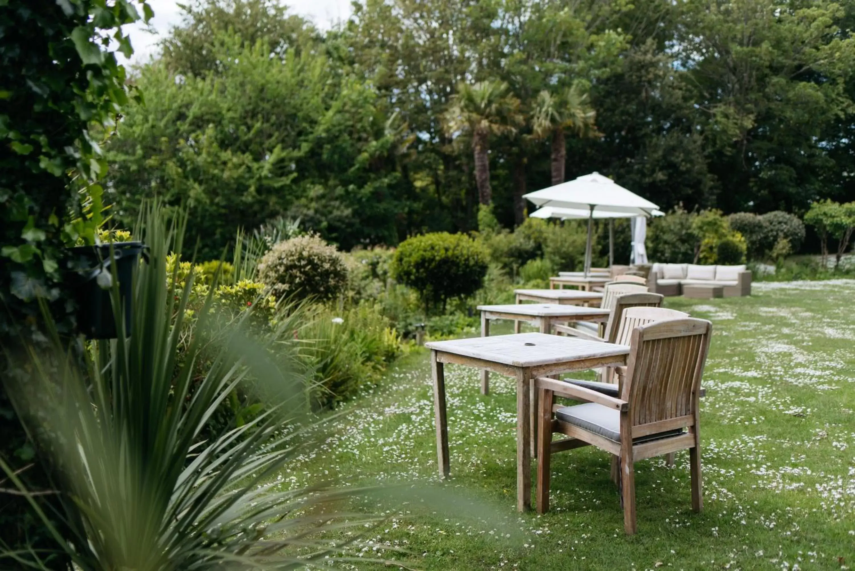 Patio in The Rosevine