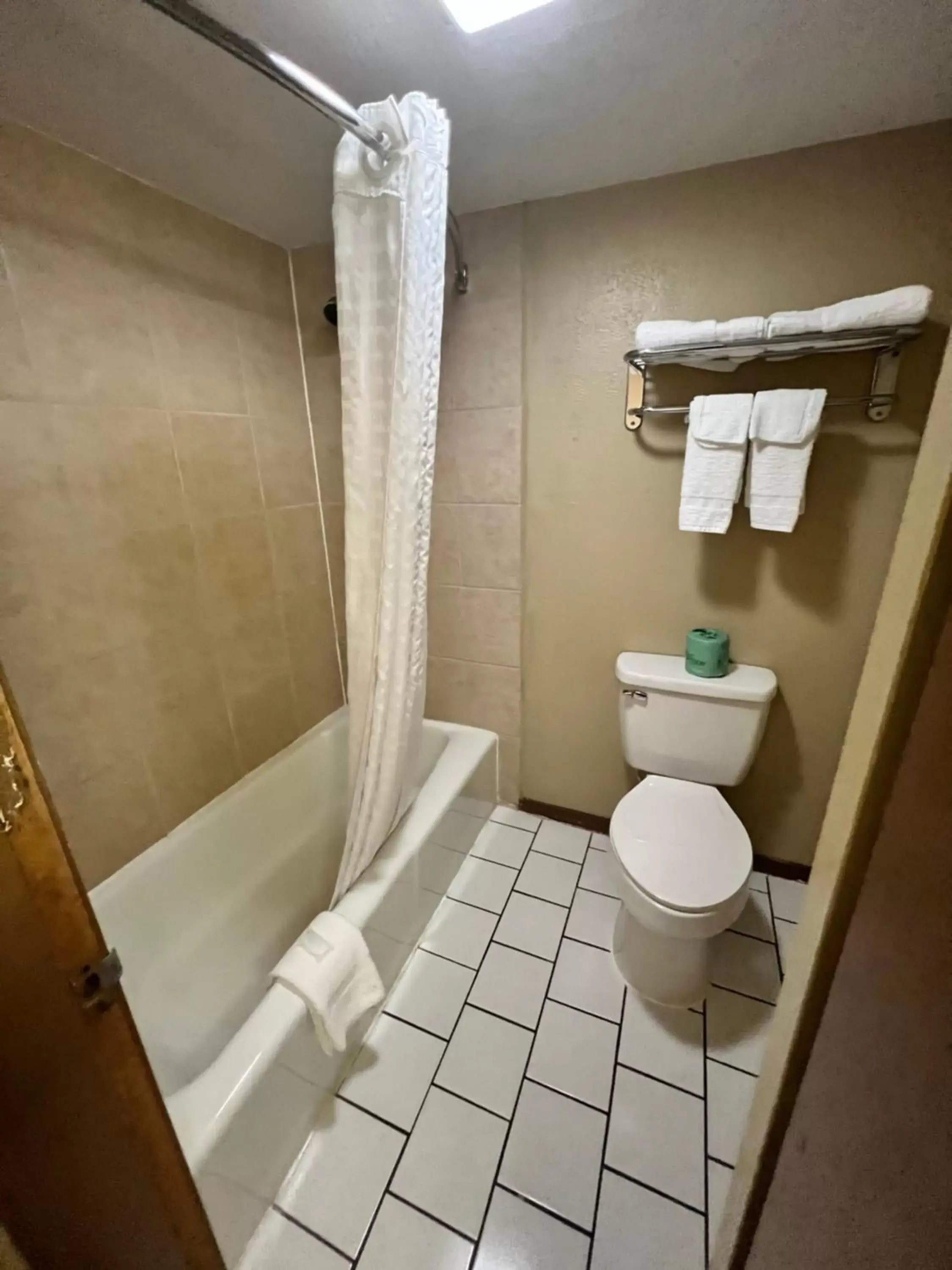 Shower, Bathroom in Continental Inn and Suites