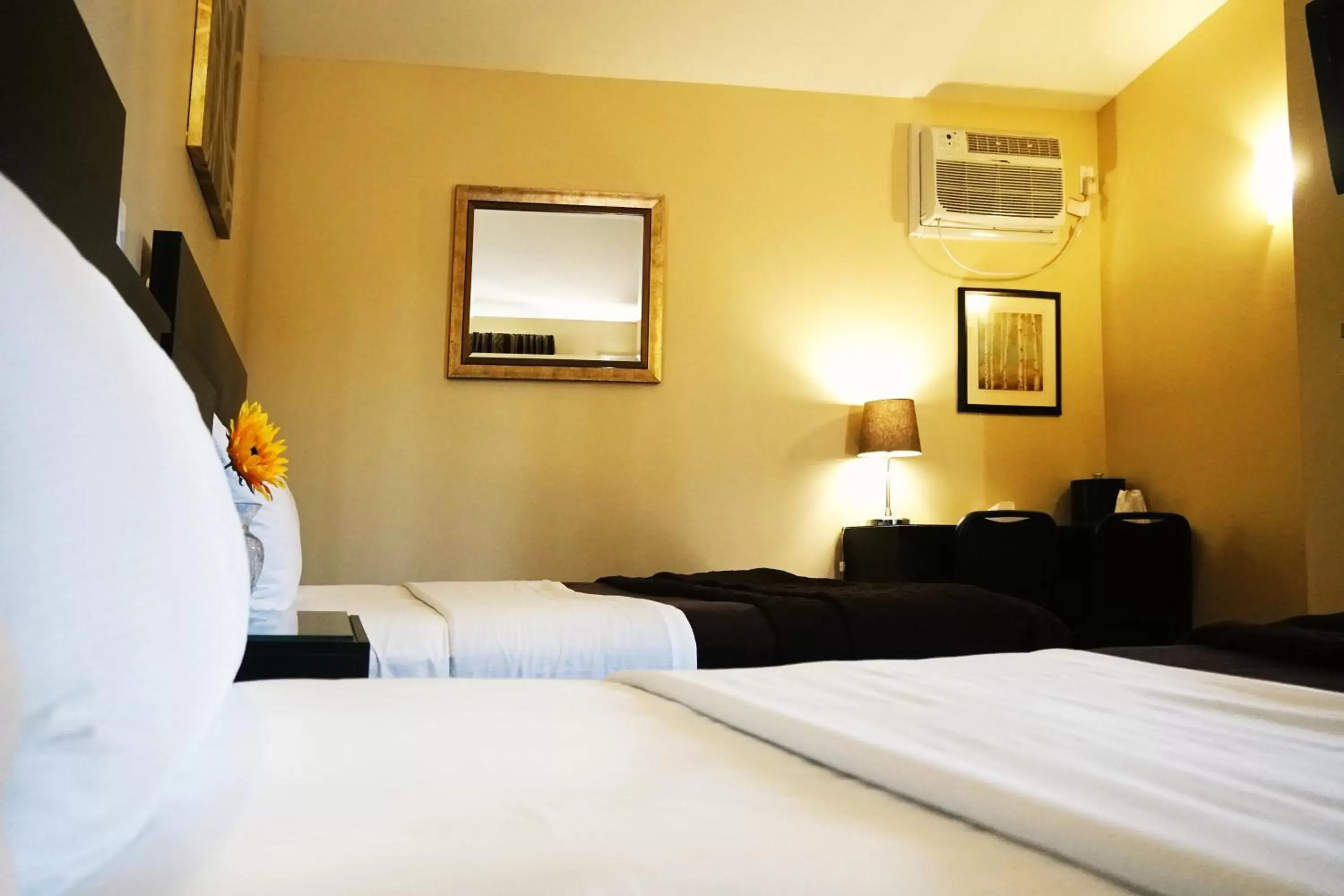 Double Room with Private Bathroom in Motel des Cèdres Double Room with Private Bathroom in Motel des Cèdres