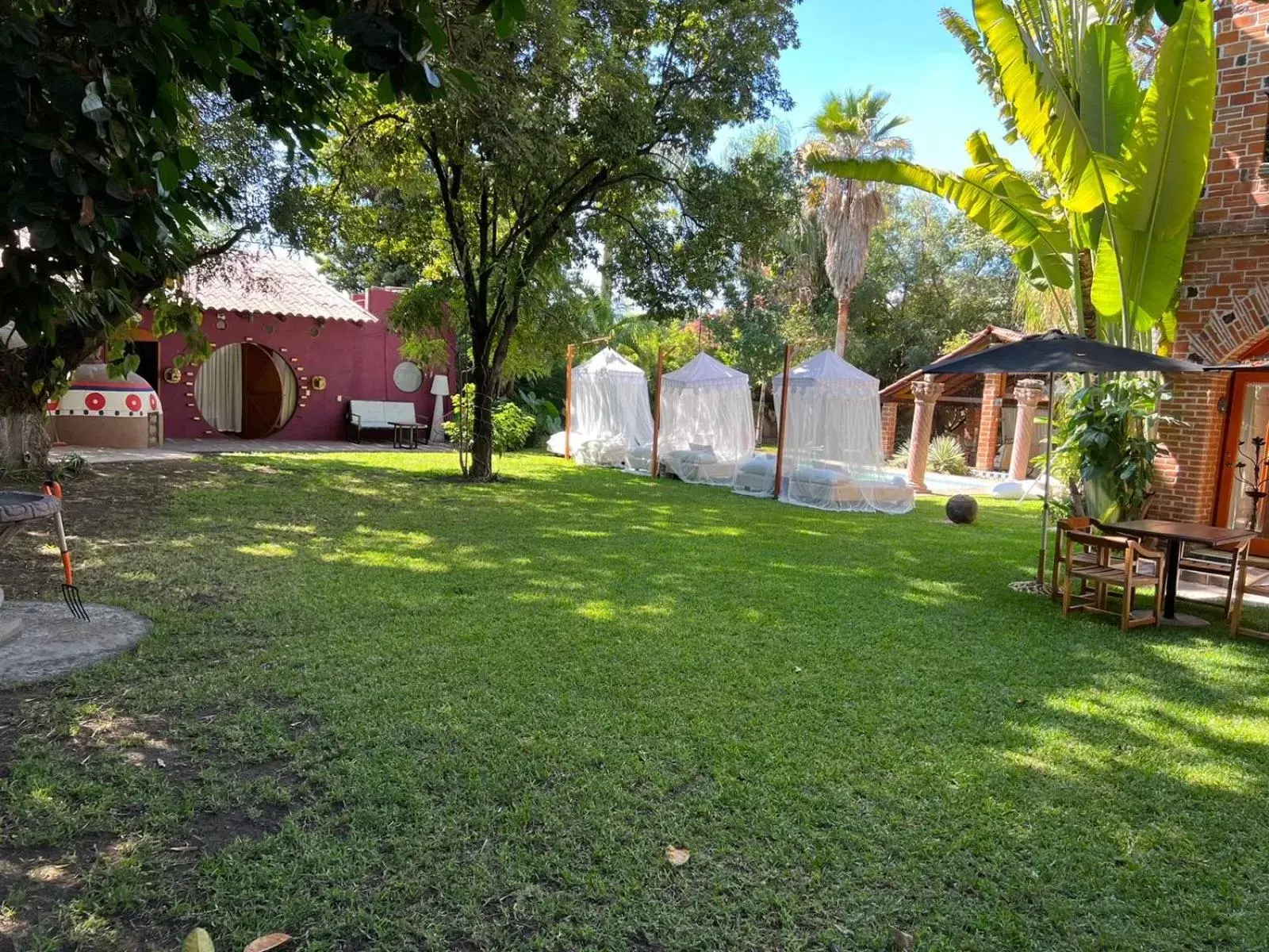 Garden in ETNICO LOCAL HOUSE