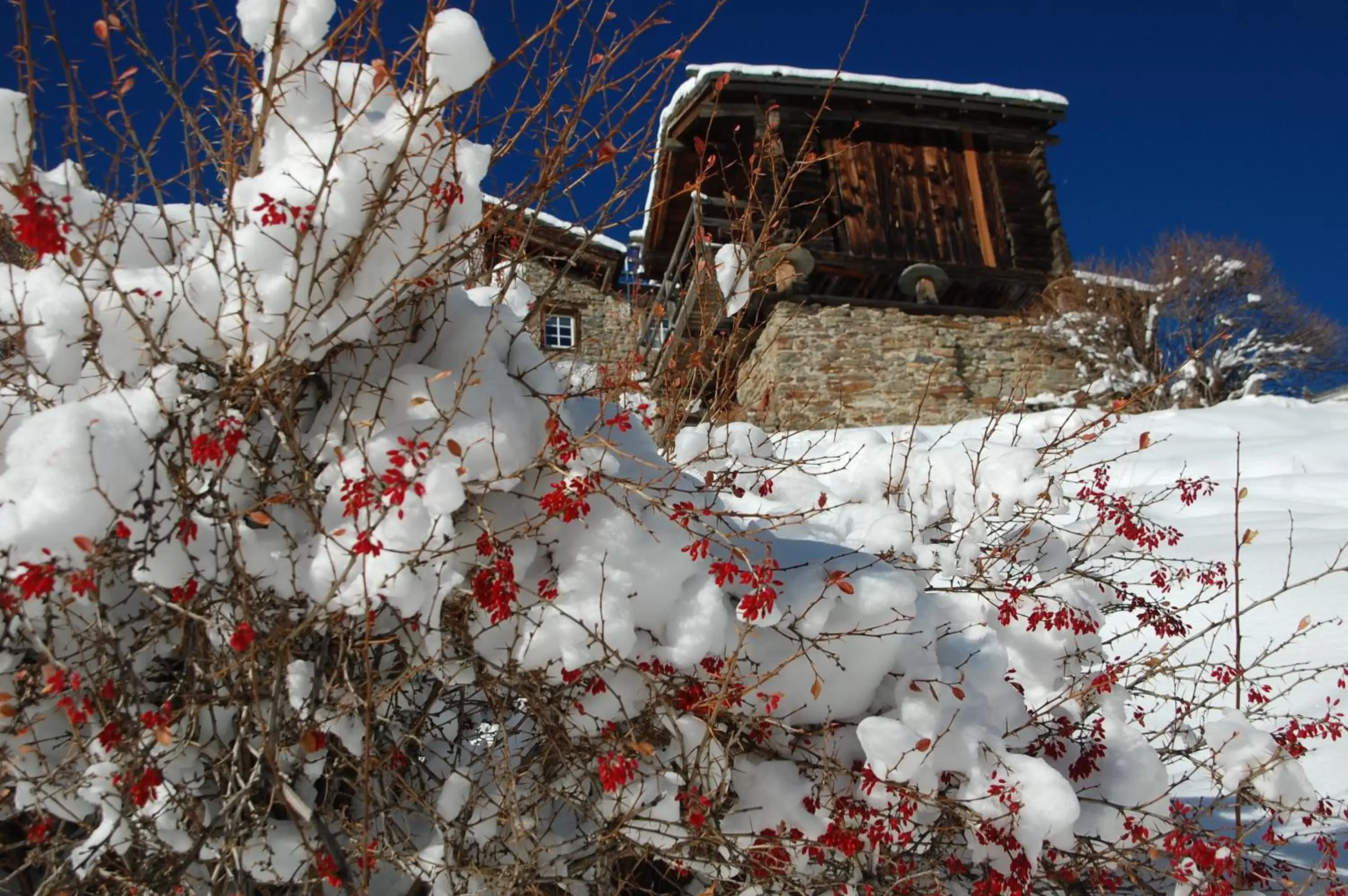 Day, Winter in Hotel Garni Jägerhof