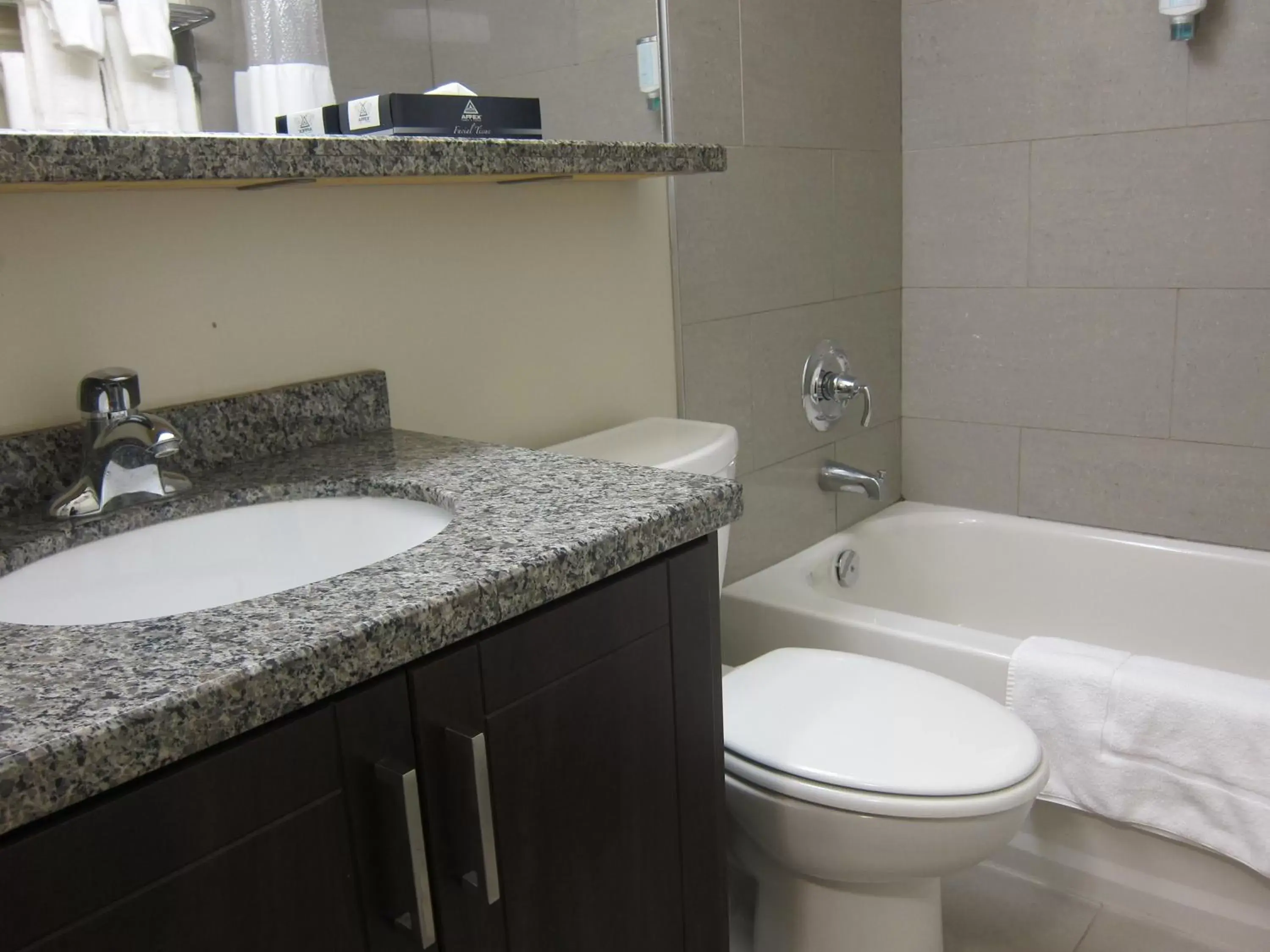 Bathroom in Canadas Best Value Inn - Toronto