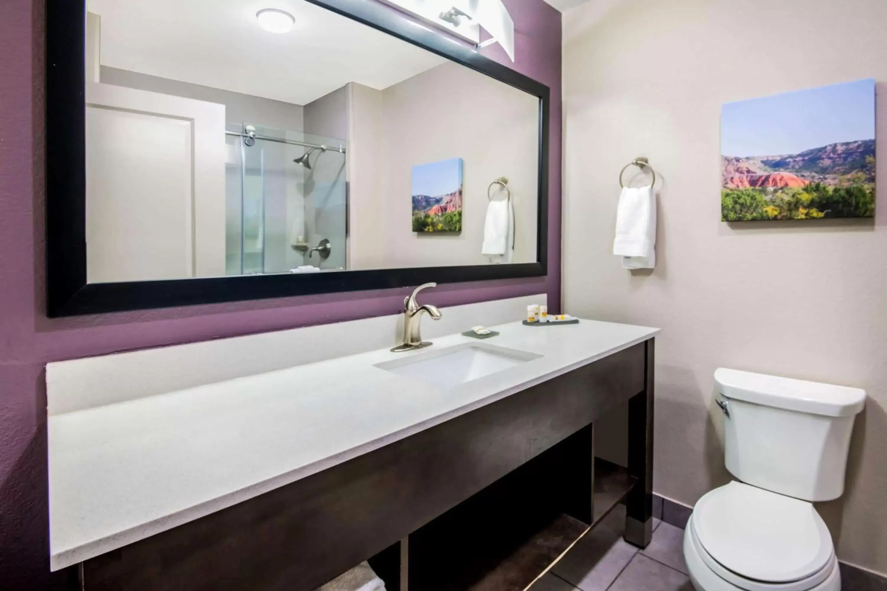 Bathroom in La Quinta Inn & Suites by Wyndham Pampa